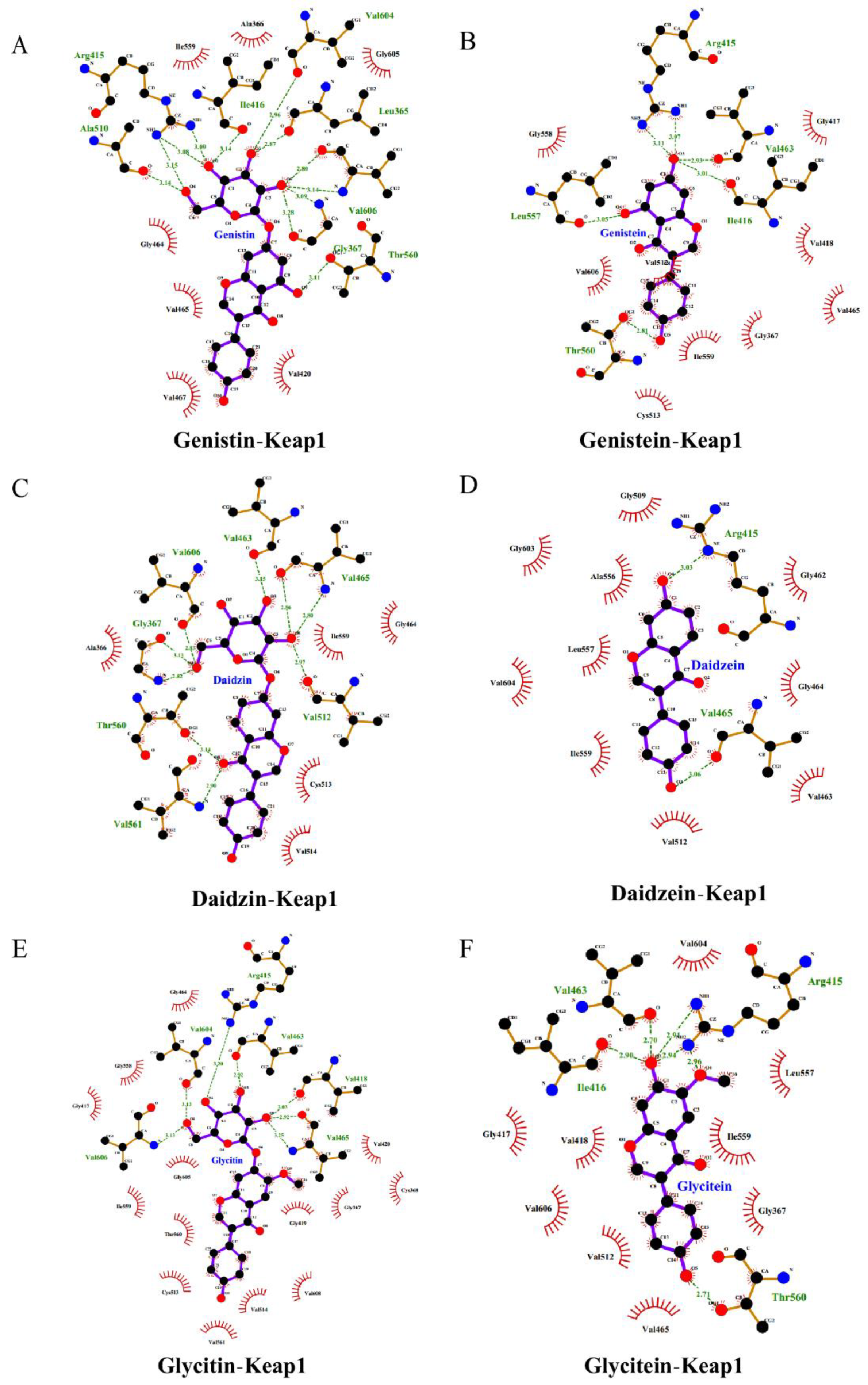 Antioxidants 11 02037 g006 Antioxidants 11 02037 g006
