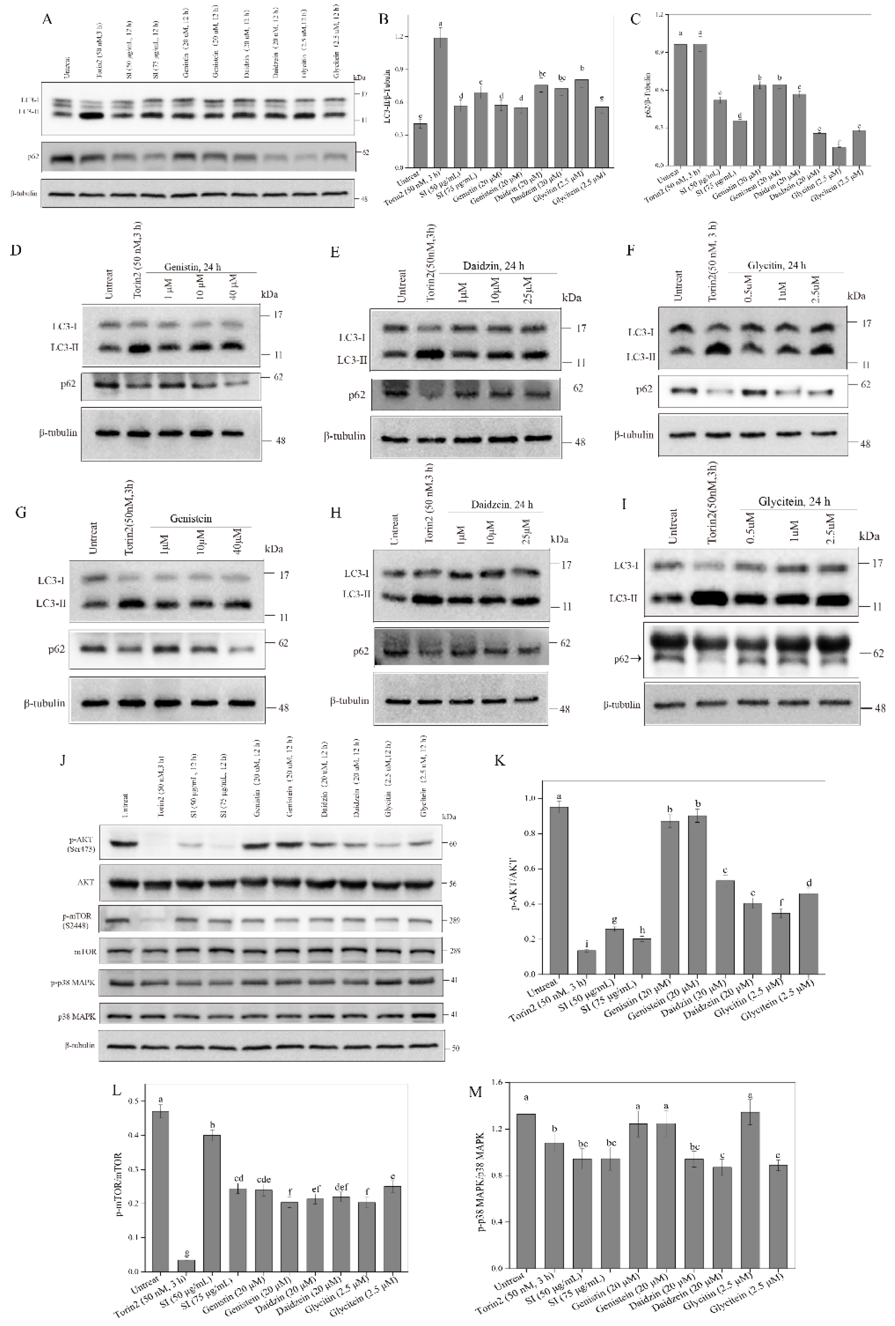 Antioxidants 11 02037 g007 Antioxidants 11 02037 g007
