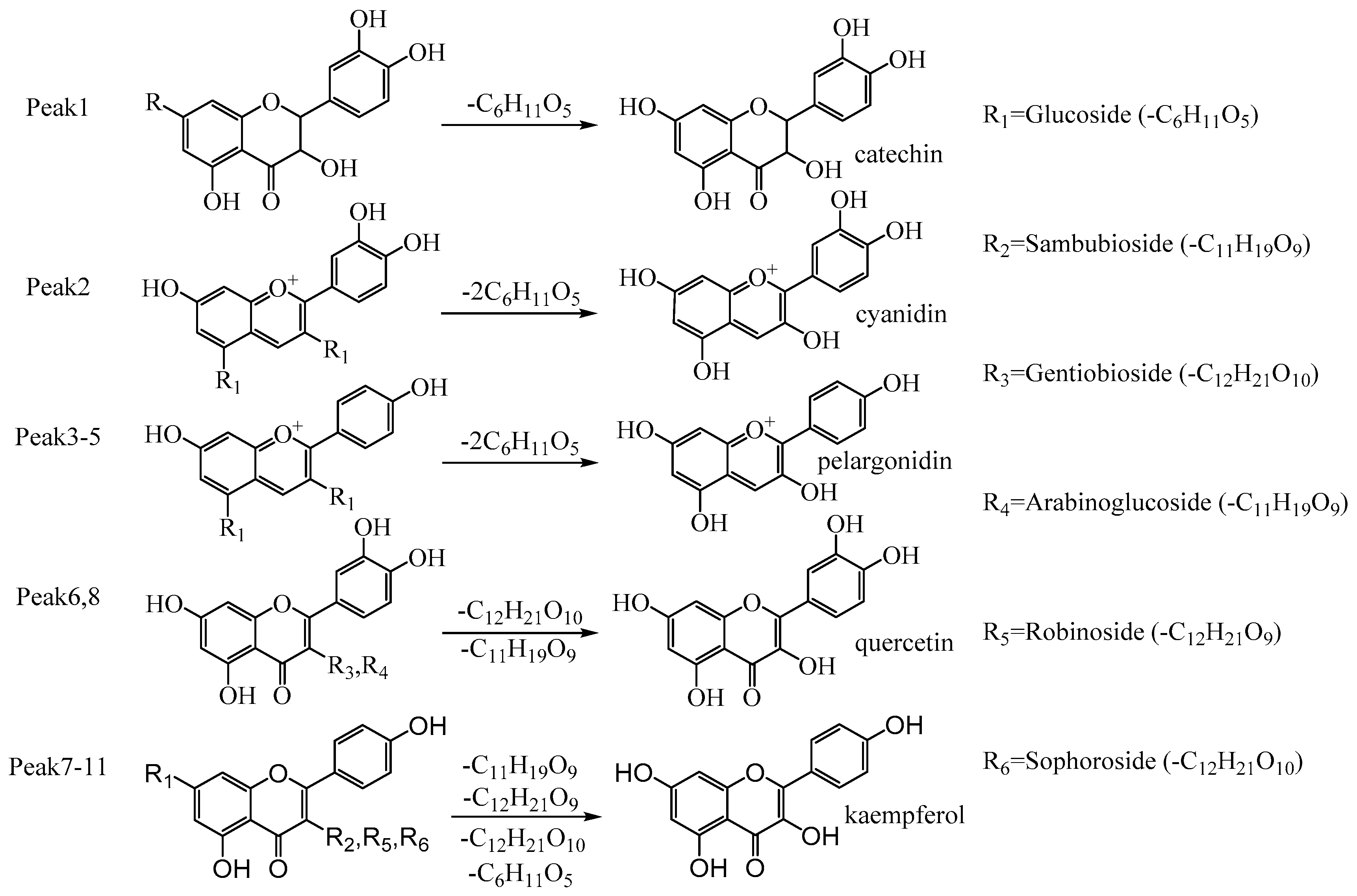 Antioxidants 11 02039 g008