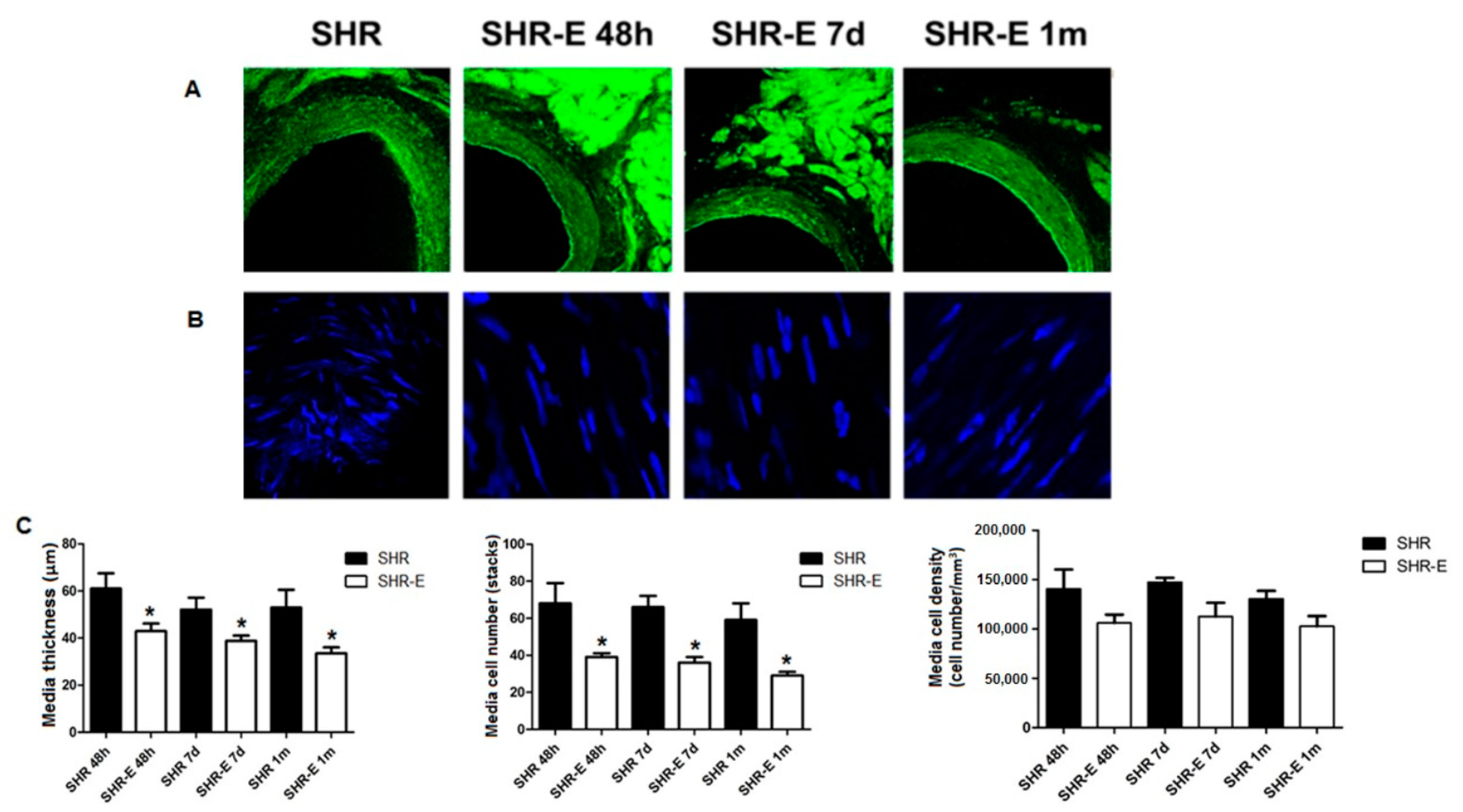 Antioxidants 11 02042 g003