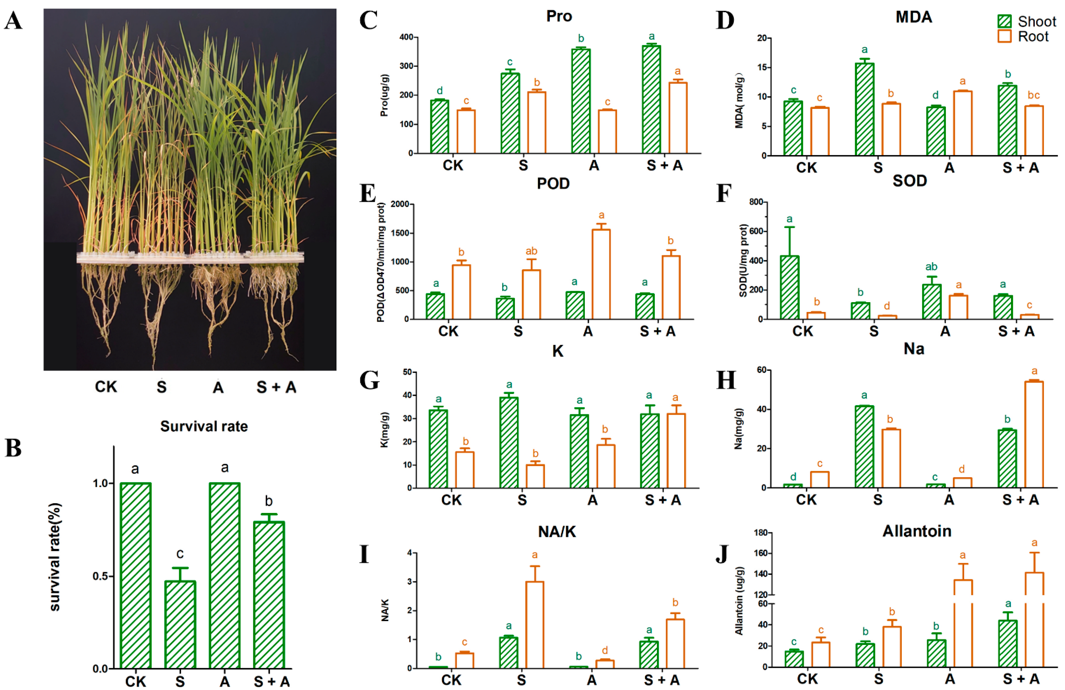 Antioxidants 11 02045 g001