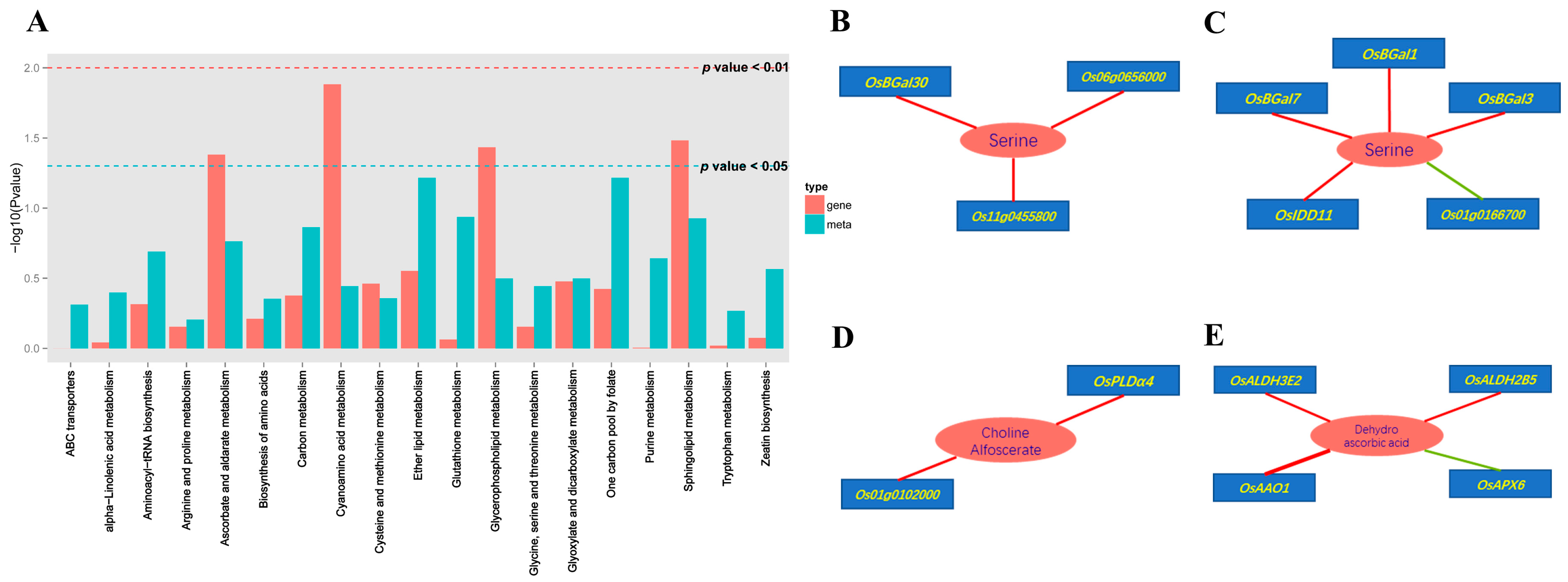 Antioxidants 11 02045 g005