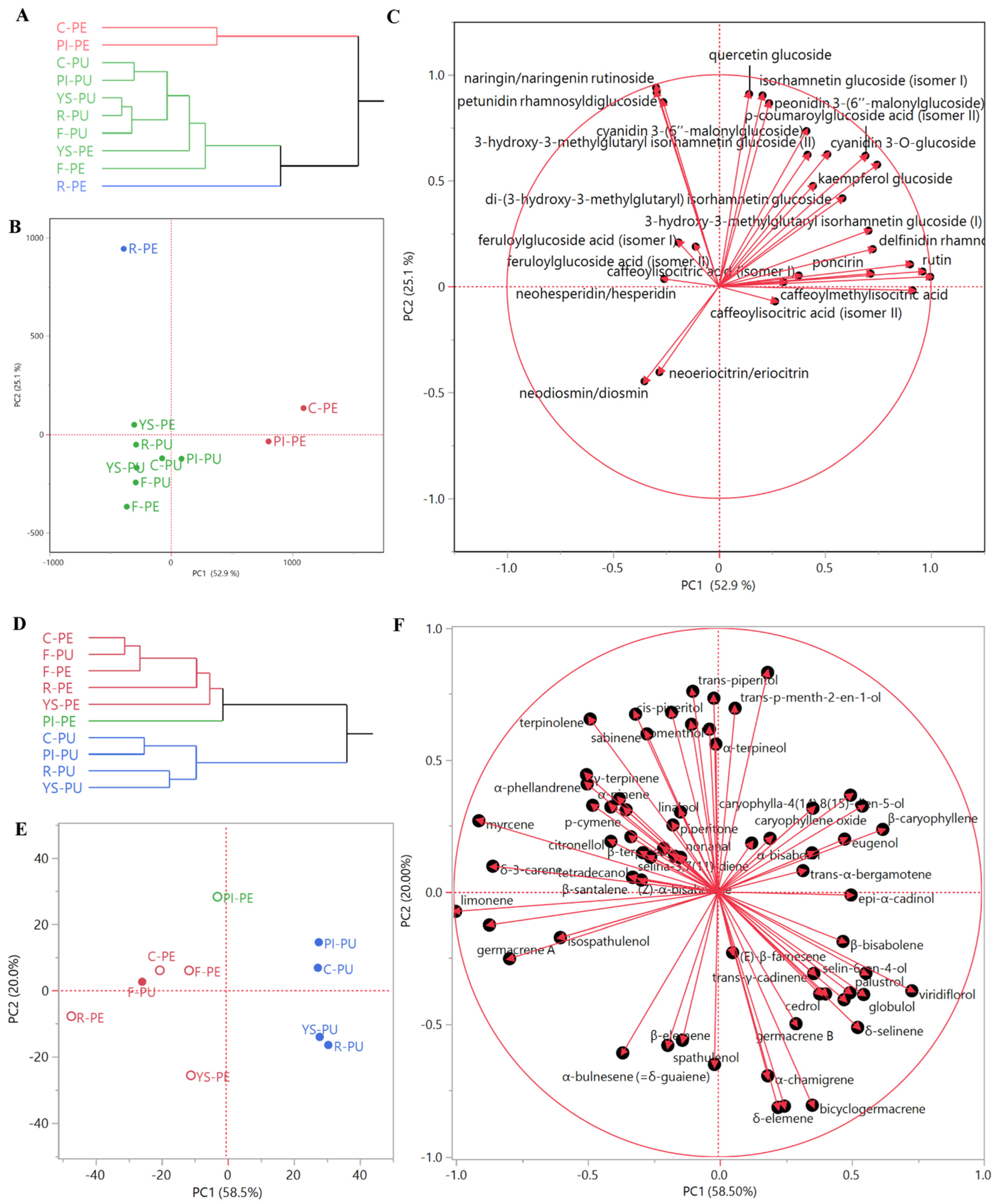 Antioxidants 11 02047 g002