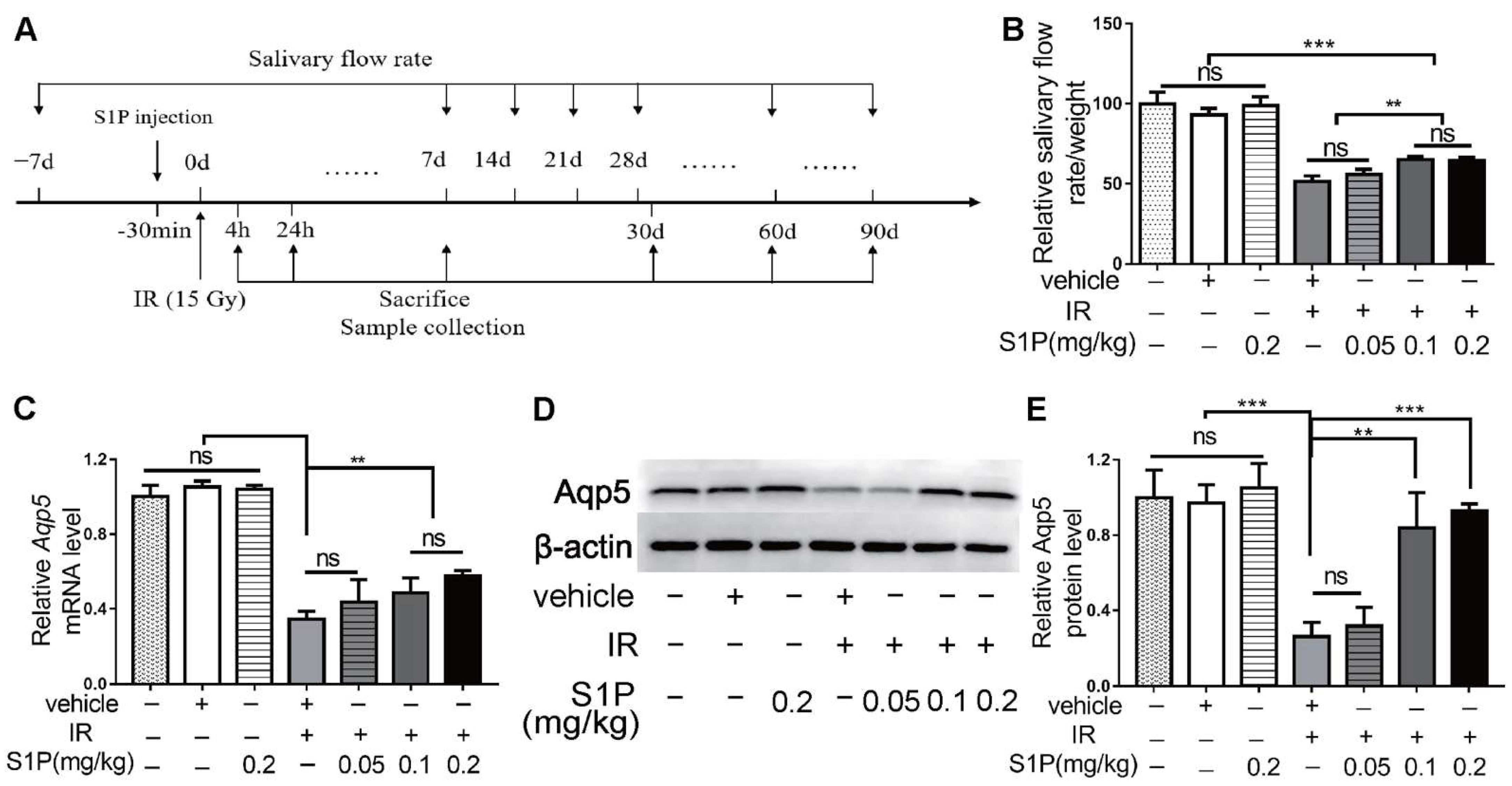 Antioxidants 11 02050 g001 Antioxidants 11 02050 g001