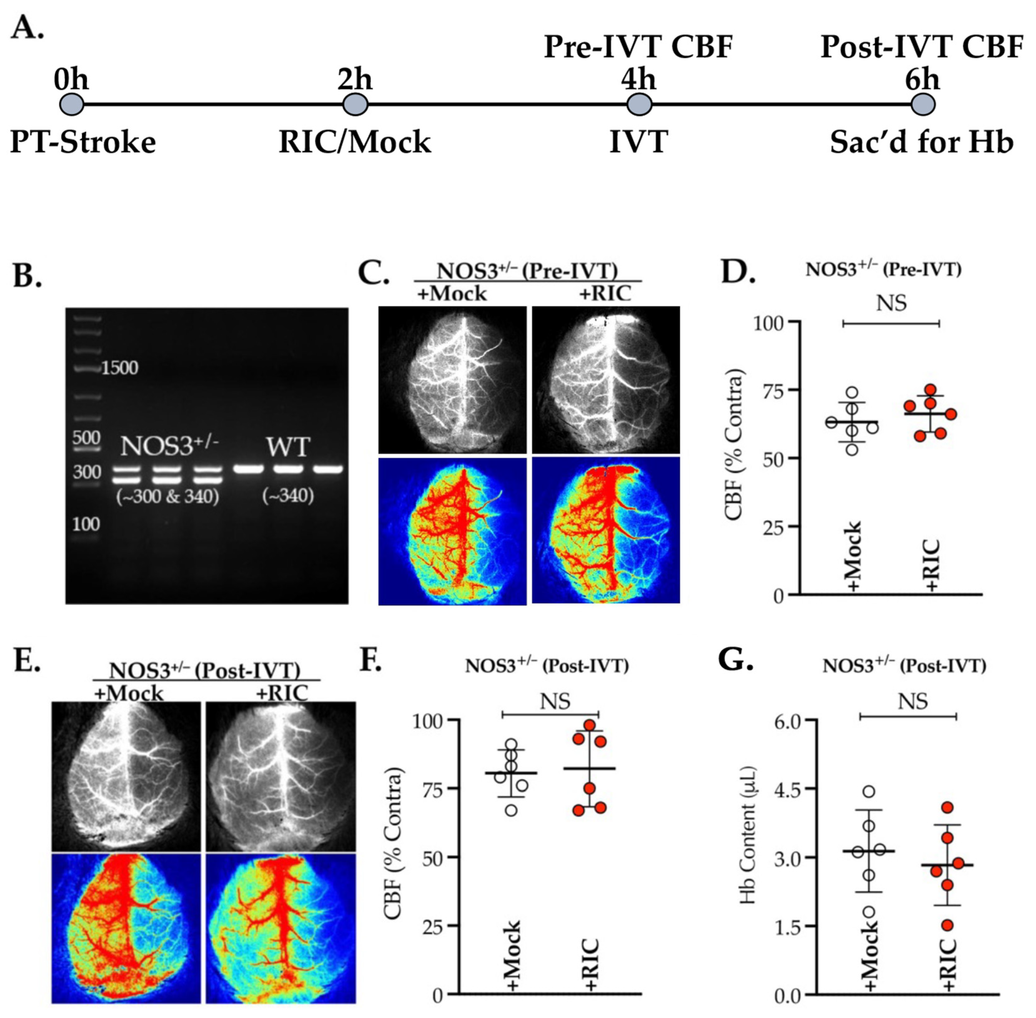 Antioxidants 11 02051 g001