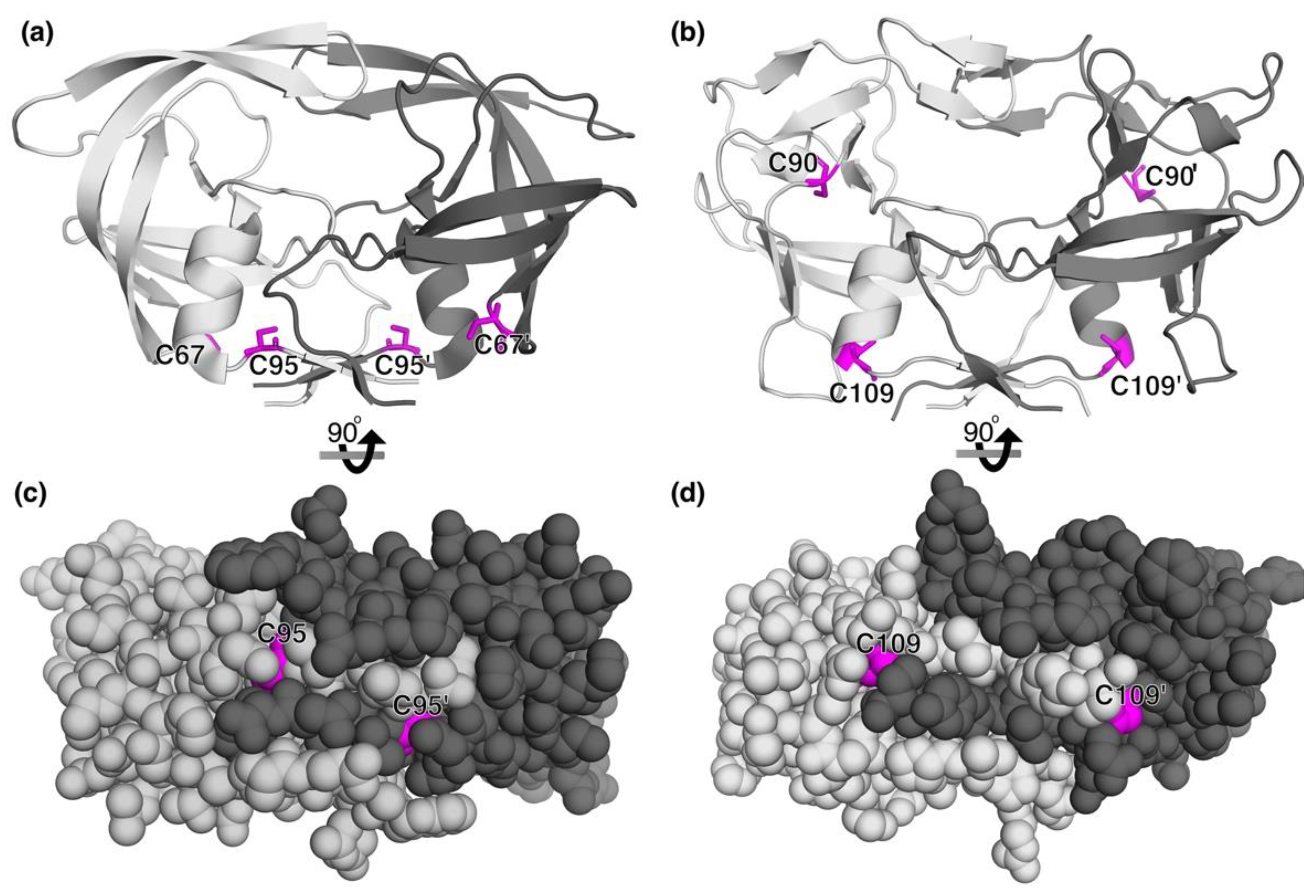 Antioxidants 11 02054 g002