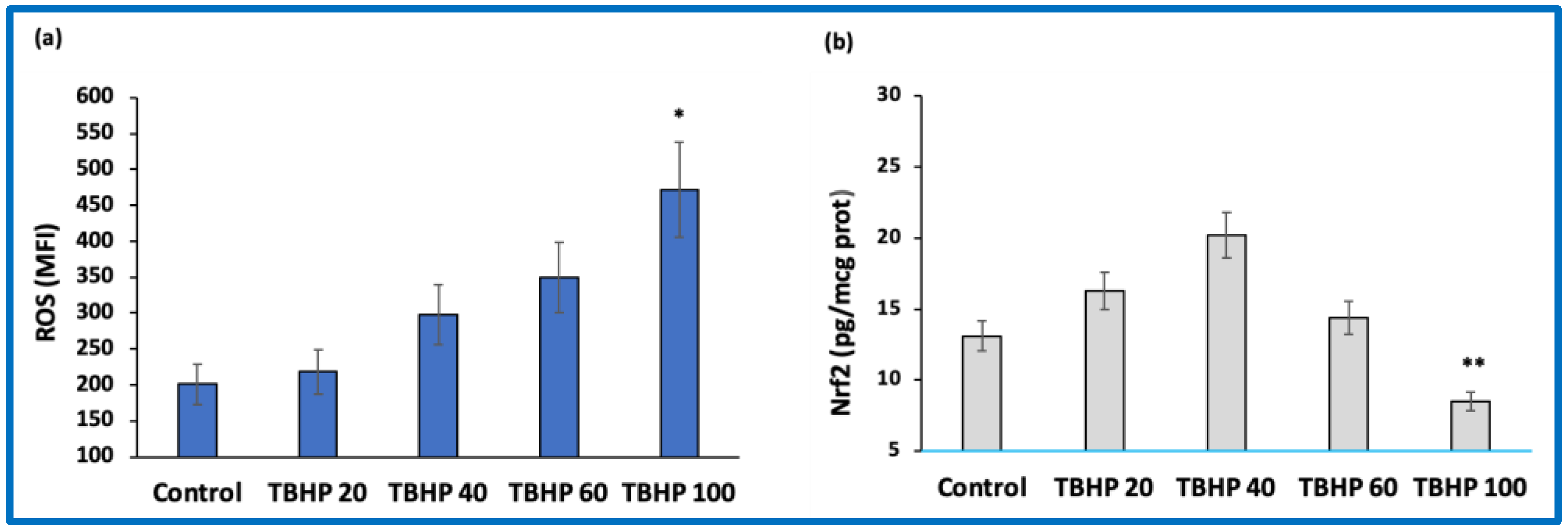Antioxidants 11 02055 g003 Antioxidants 11 02055 g003