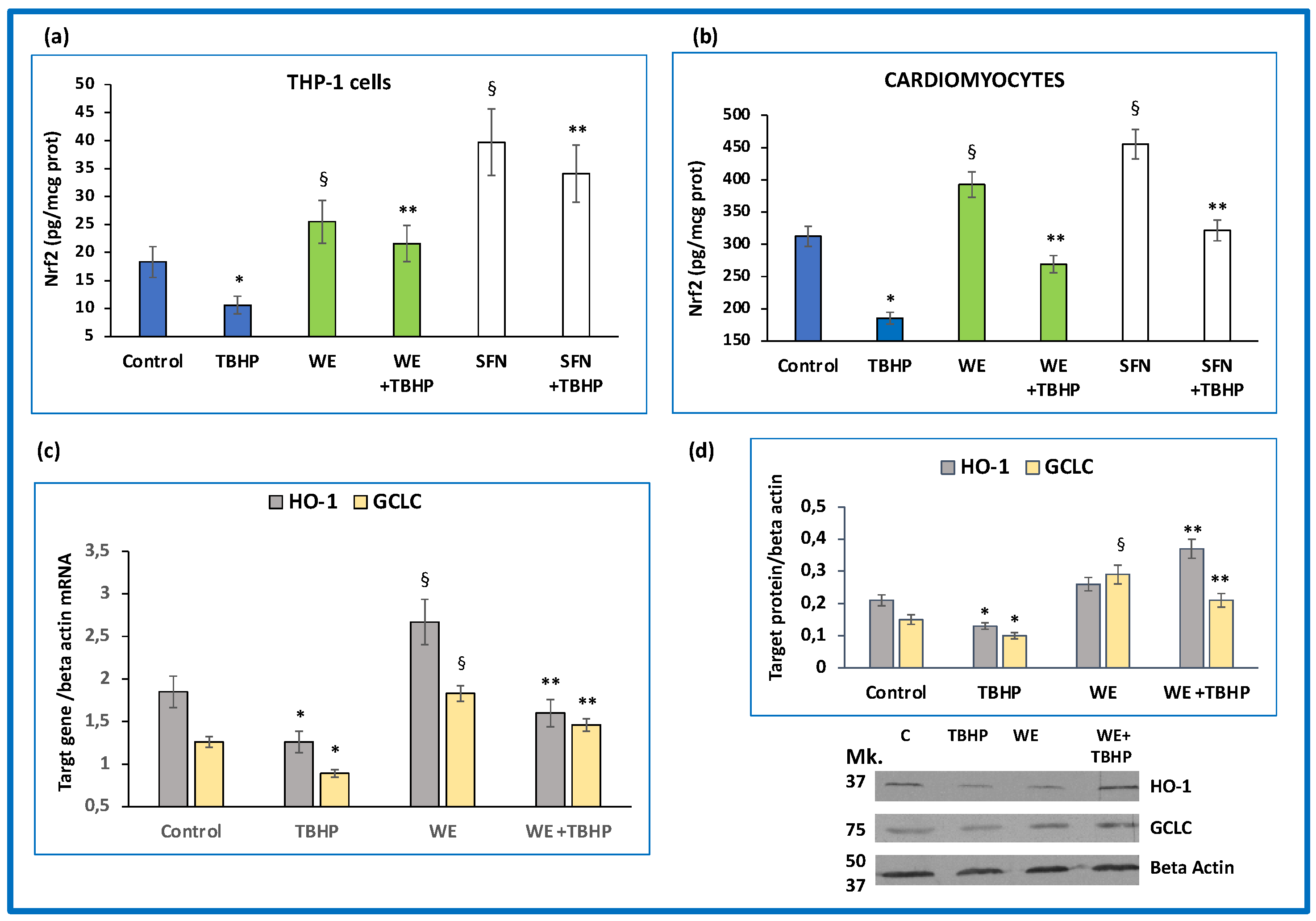 Antioxidants 11 02055 g005 Antioxidants 11 02055 g005