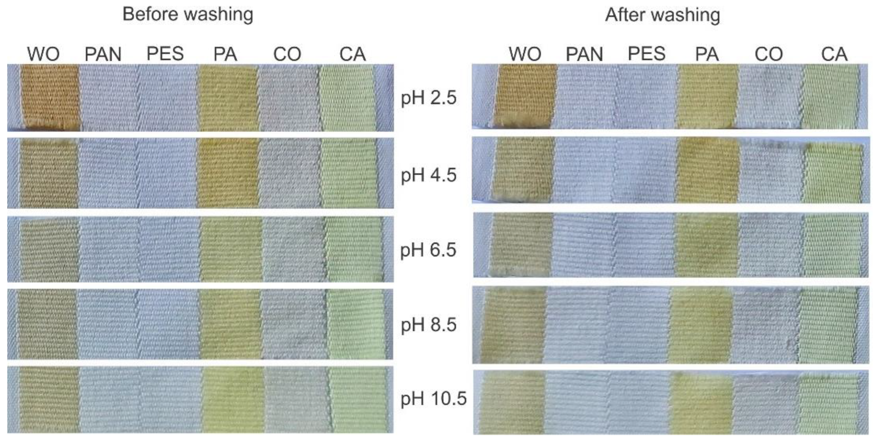 Antioxidants 11 02059 g001