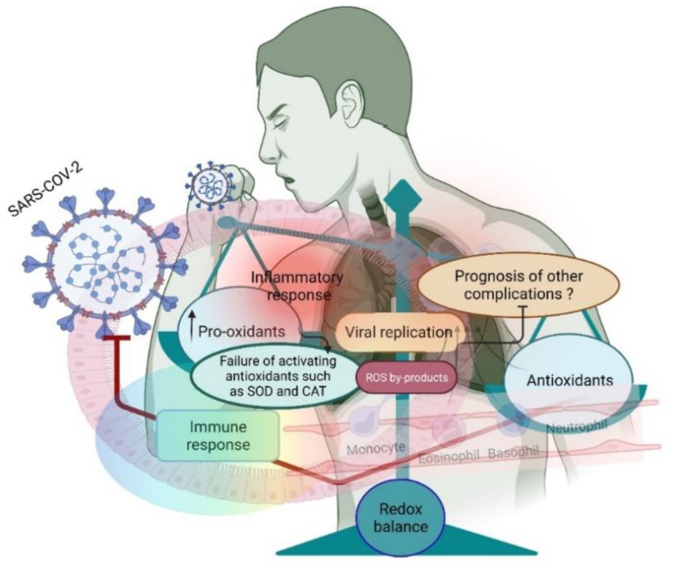 Antioxidants 11 02061 g001 Antioxidants 11 02061 g001