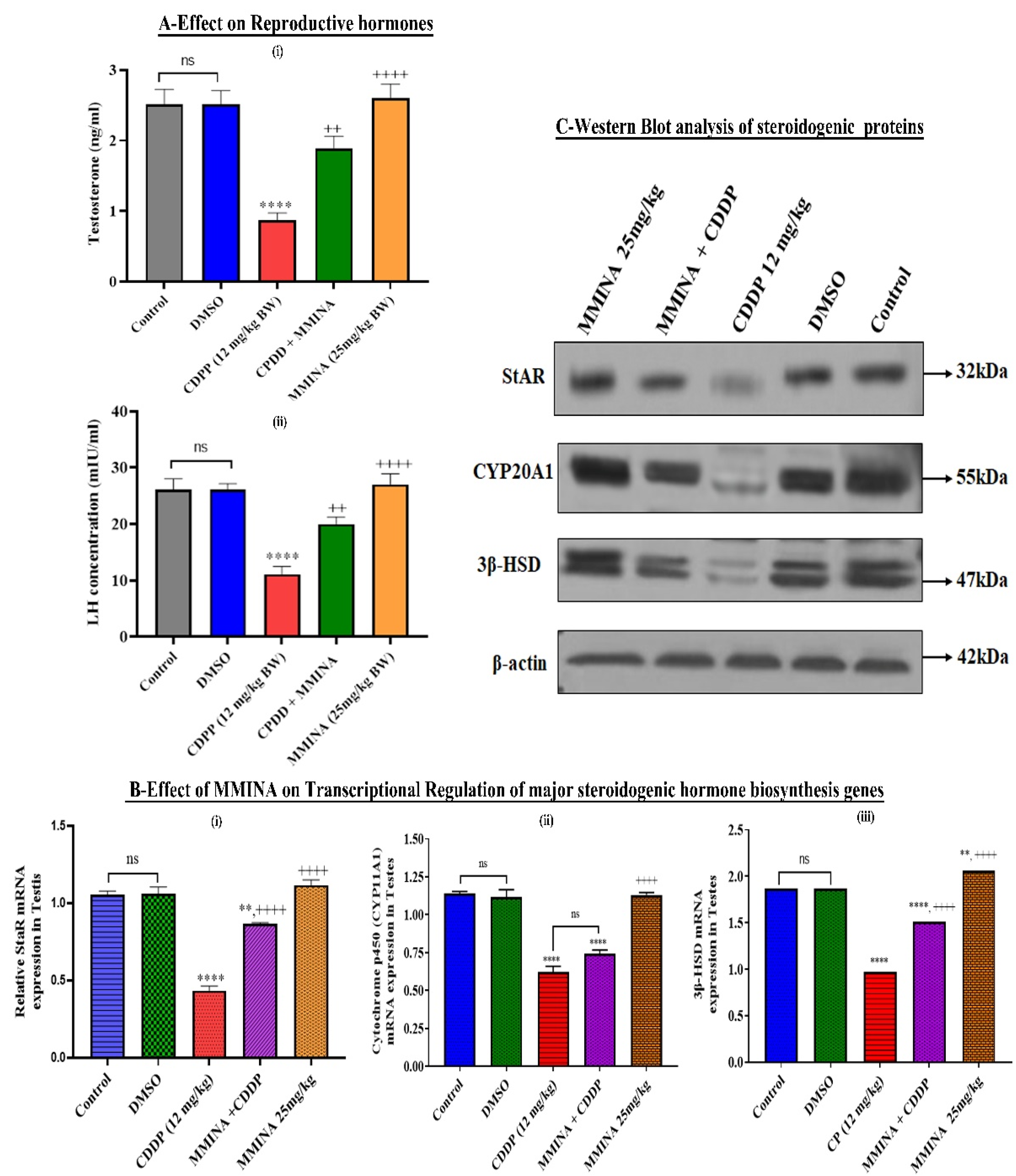 Antioxidants 11 02063 g002 Antioxidants 11 02063 g002