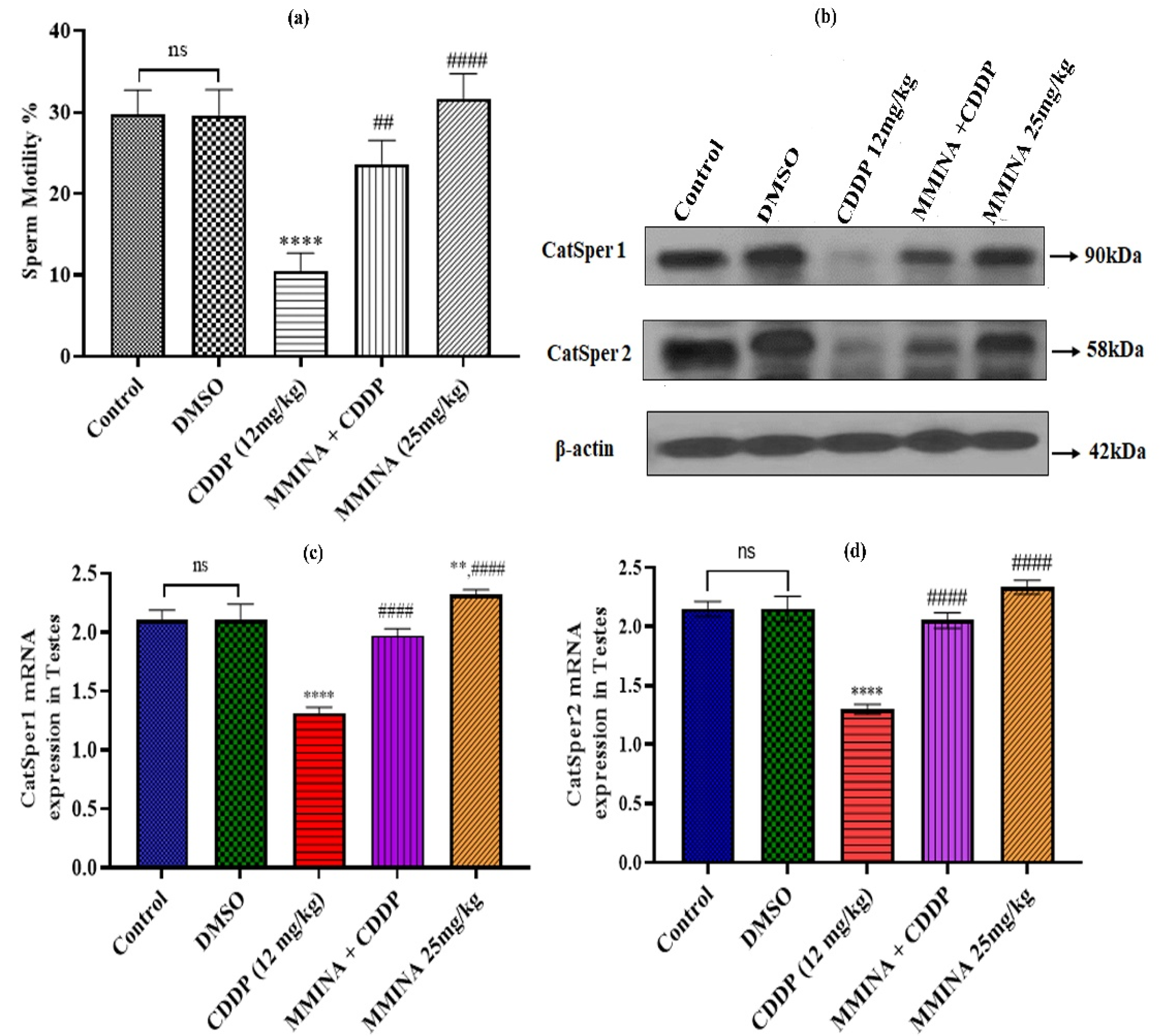 Antioxidants 11 02063 g003 Antioxidants 11 02063 g003