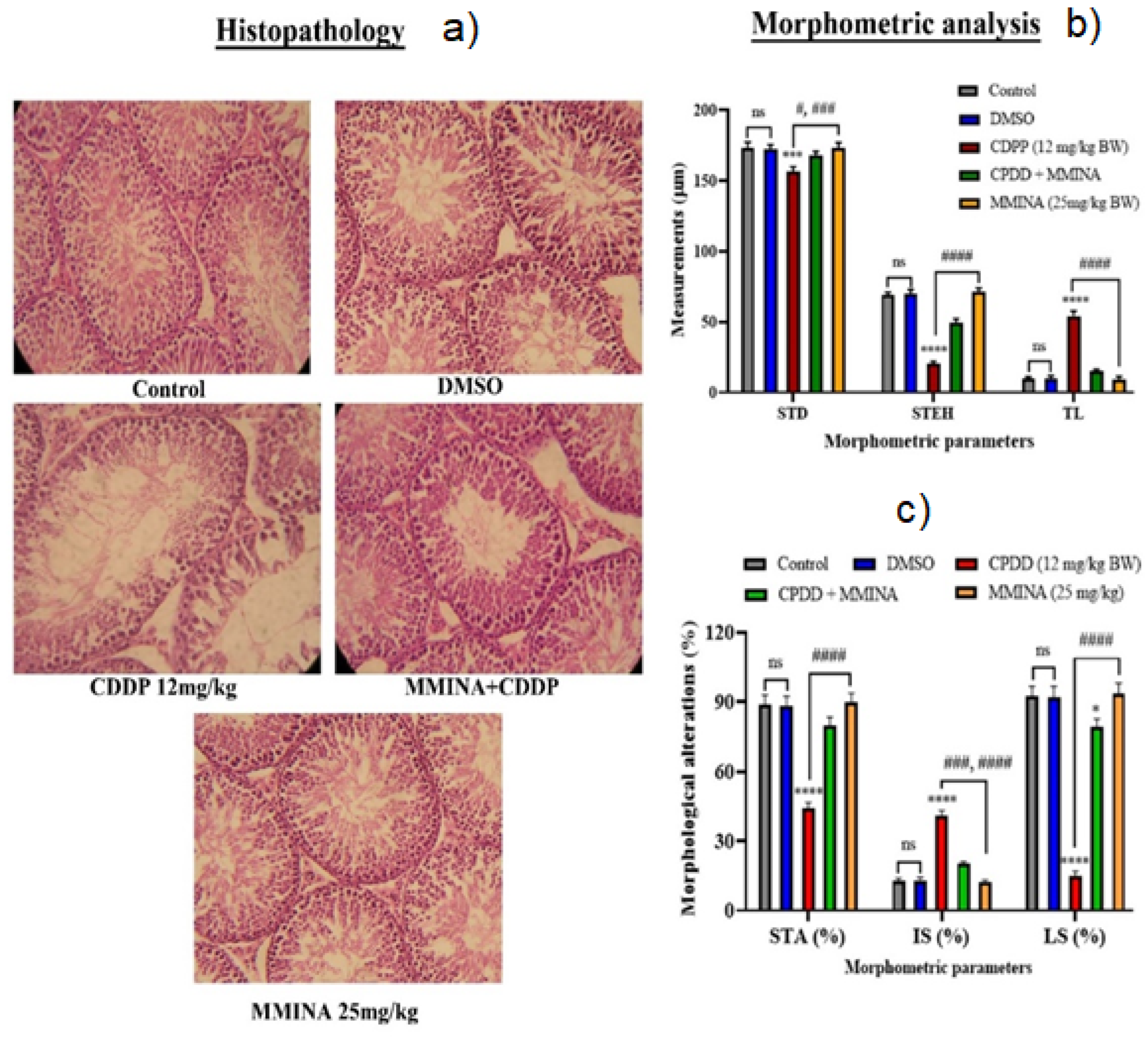 Antioxidants 11 02063 g005 Antioxidants 11 02063 g005