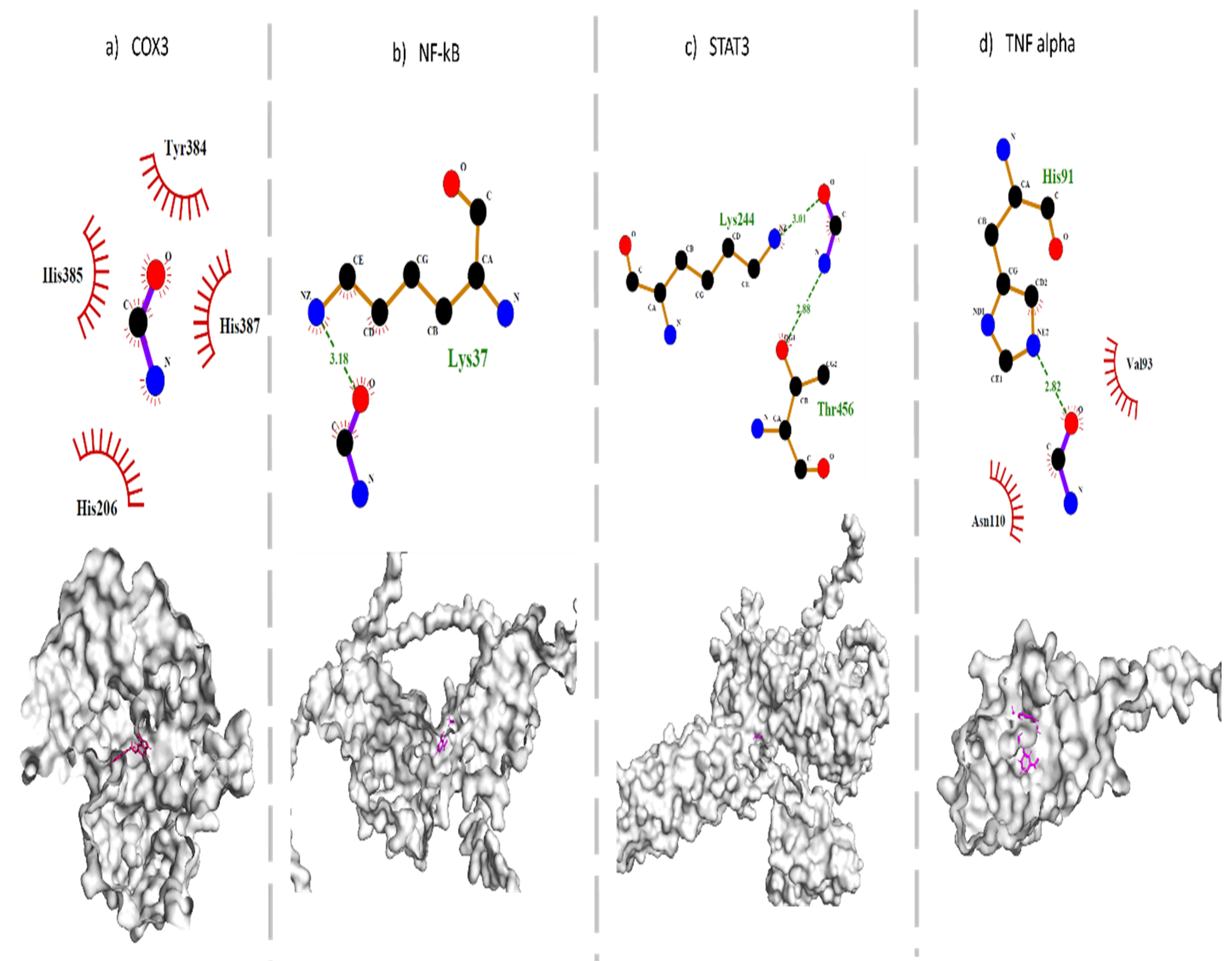 Antioxidants 11 02063 g006 Antioxidants 11 02063 g006