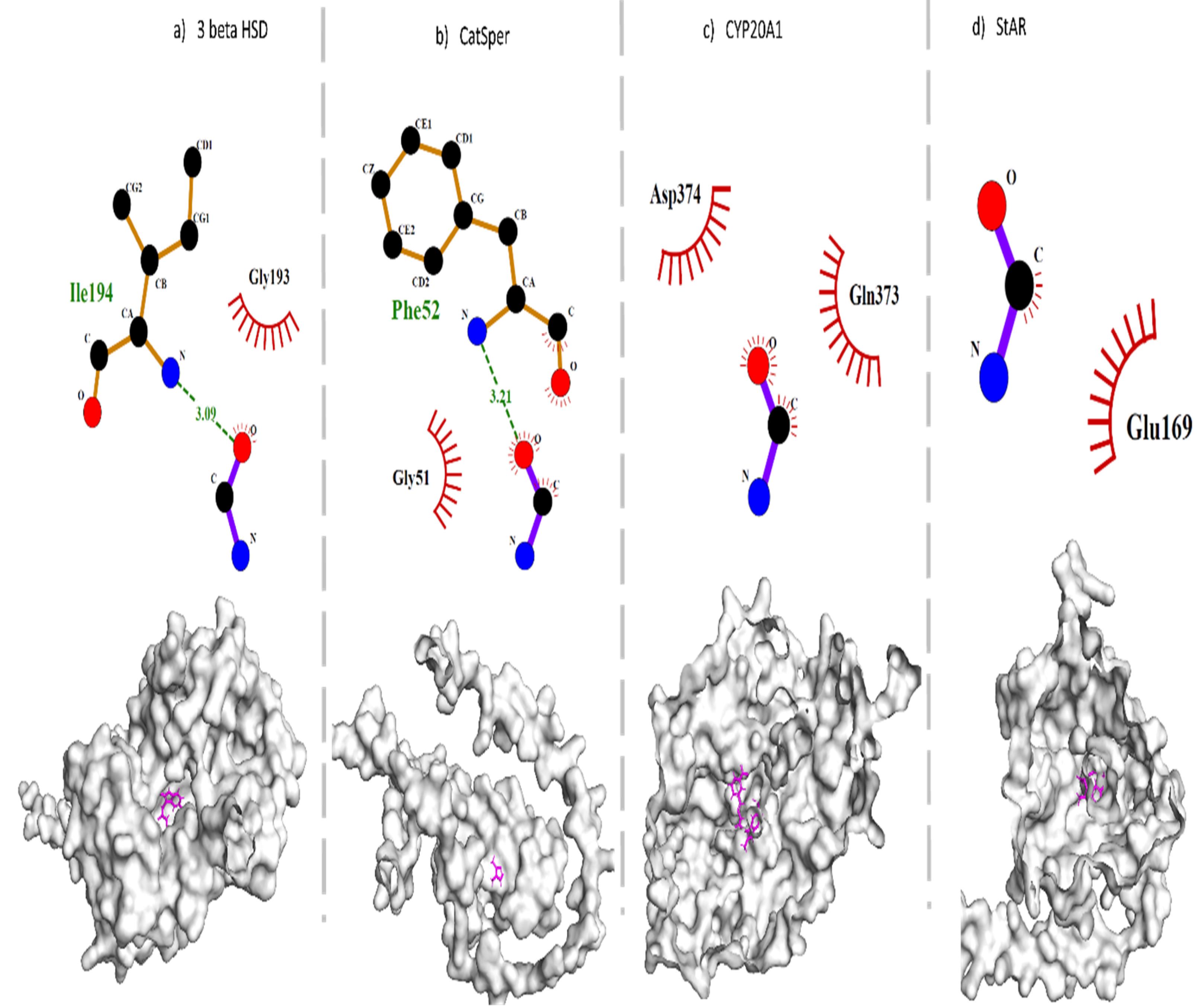 Antioxidants 11 02063 g008 Antioxidants 11 02063 g008