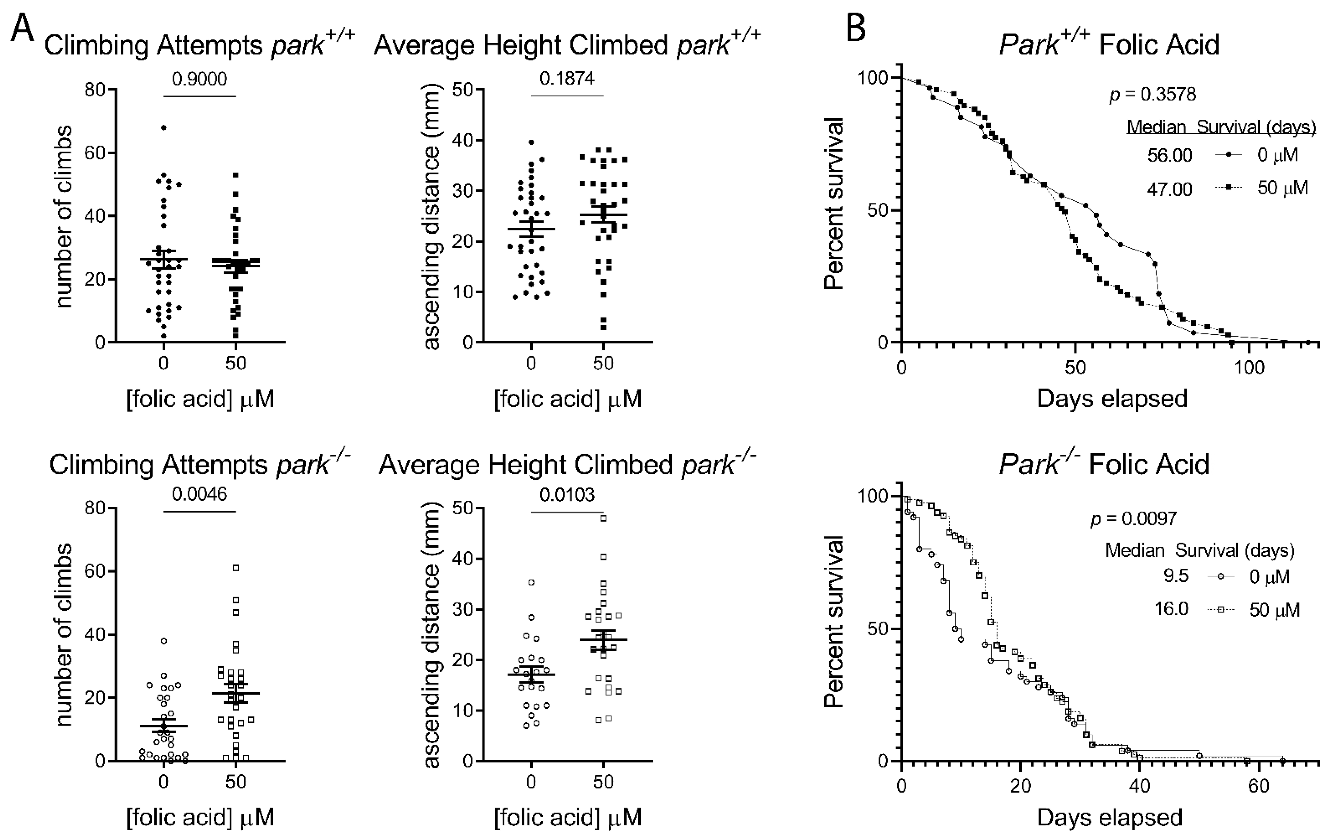 Antioxidants 11 02068 g004