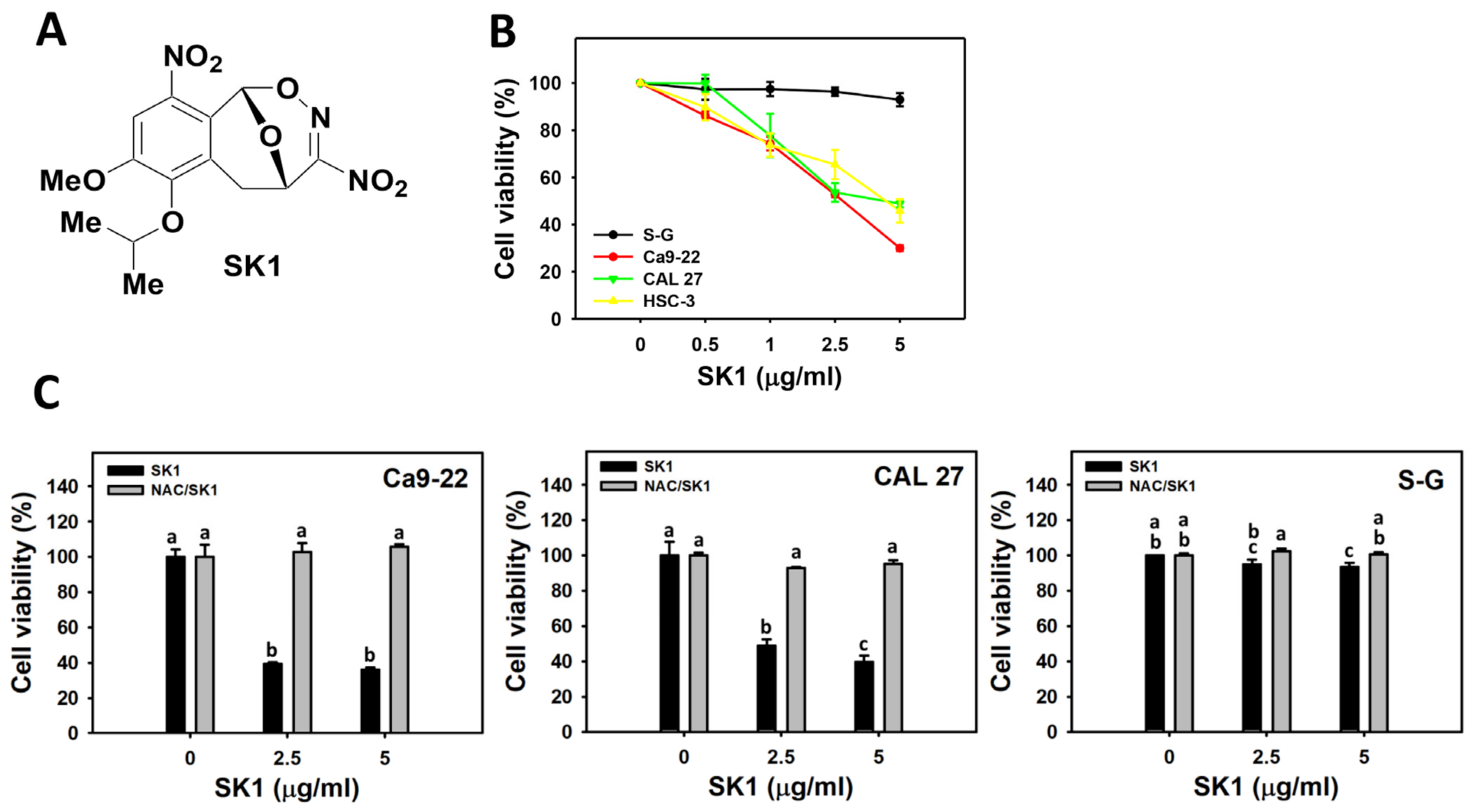 Antioxidants 11 02072 g001 Antioxidants 11 02072 g001