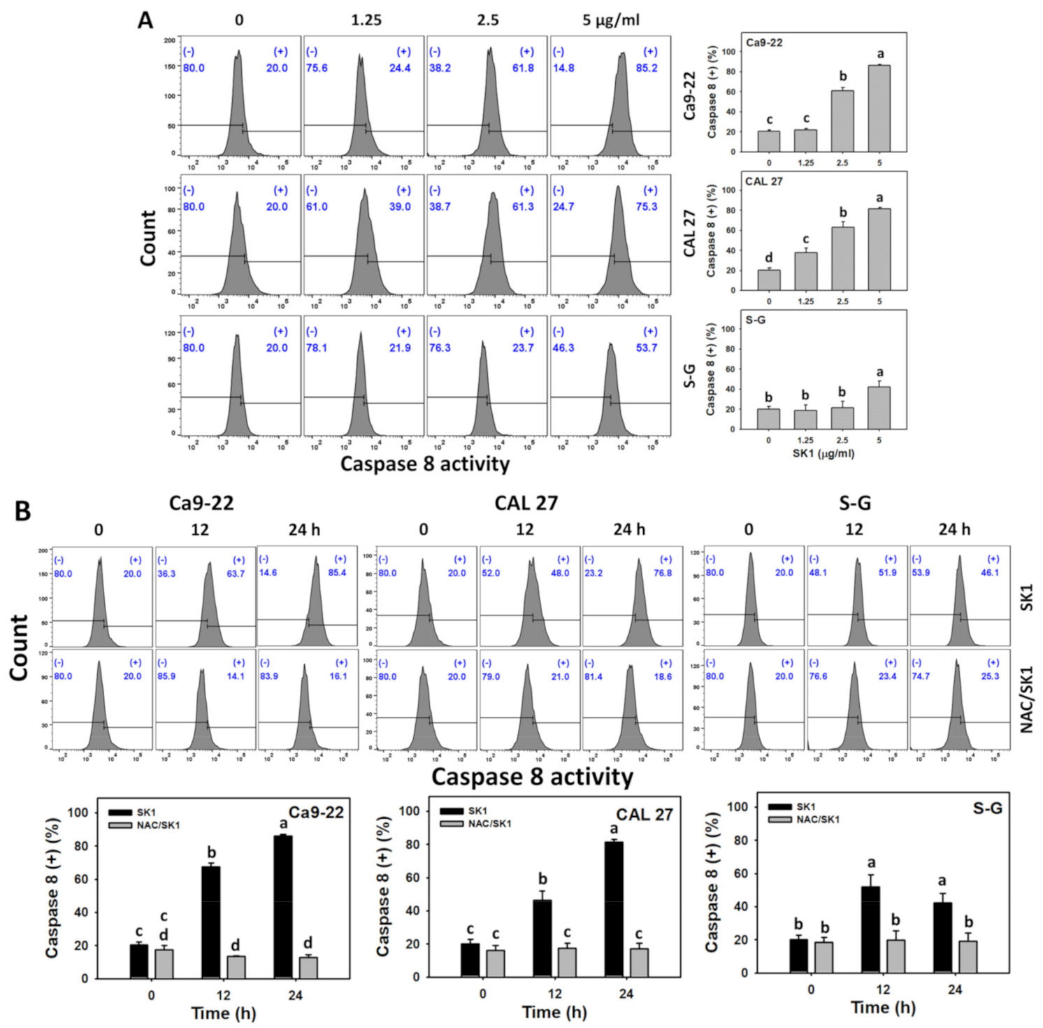 Antioxidants 11 02072 g005a Antioxidants 11 02072 g005a
