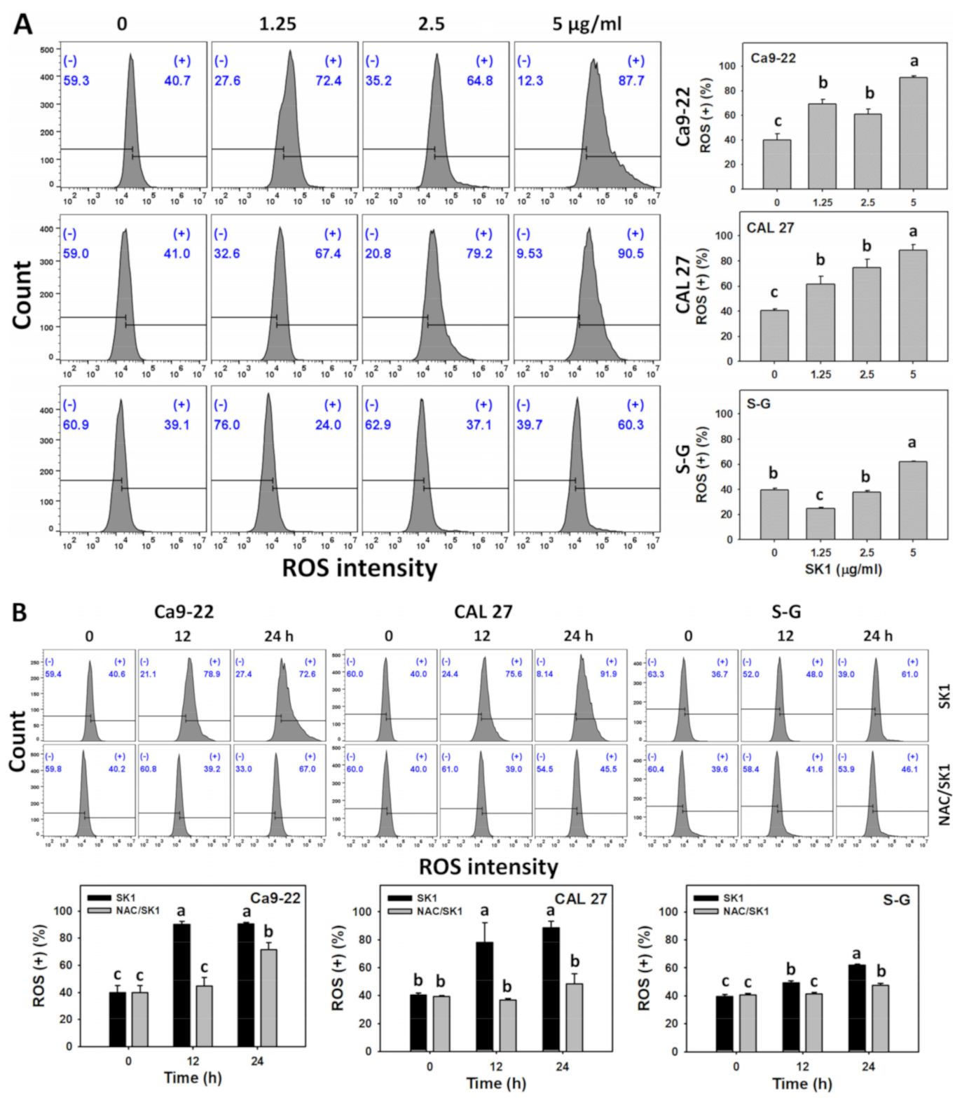 Antioxidants 11 02072 g006a Antioxidants 11 02072 g006a