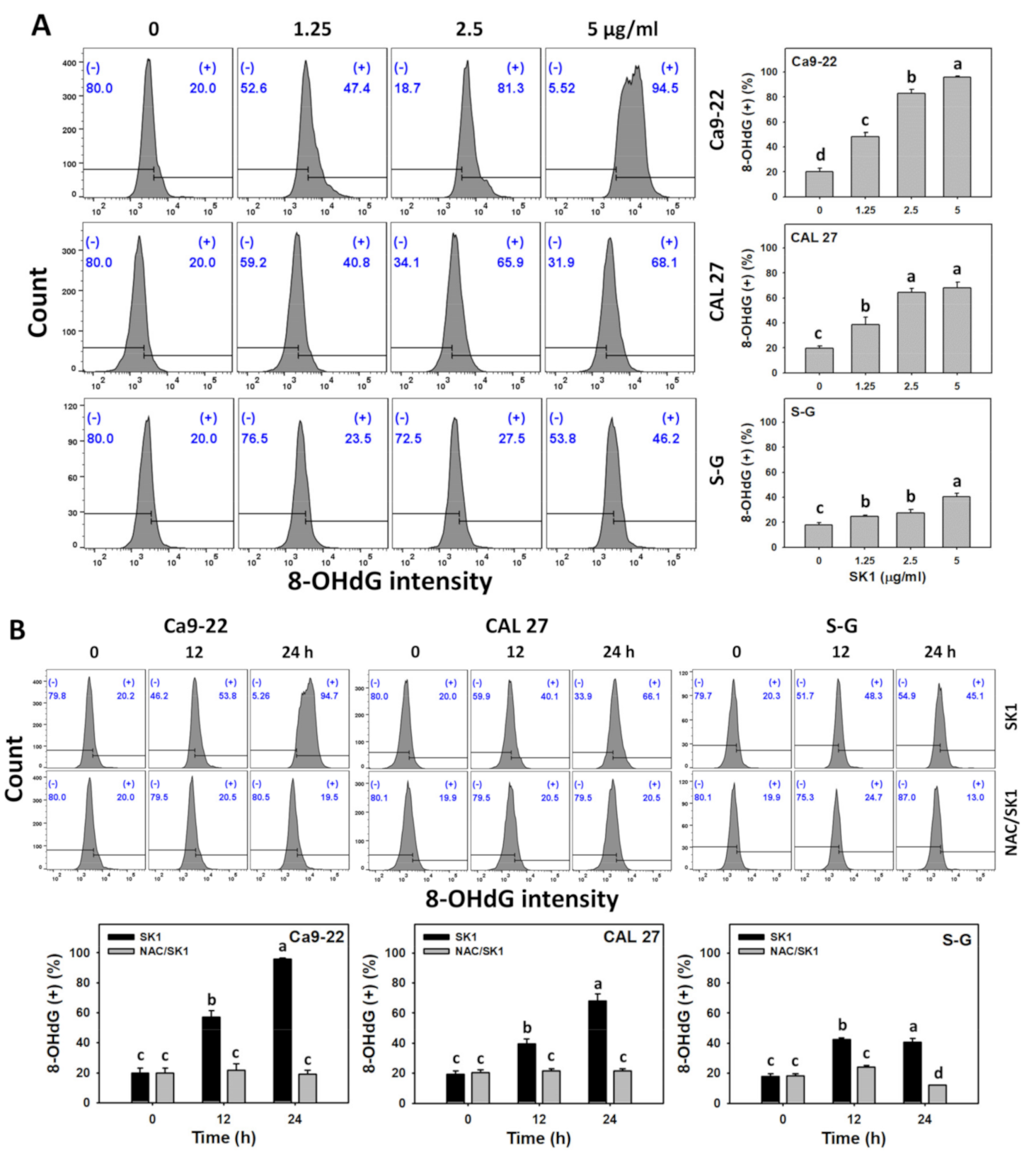 Antioxidants 11 02072 g010 Antioxidants 11 02072 g010