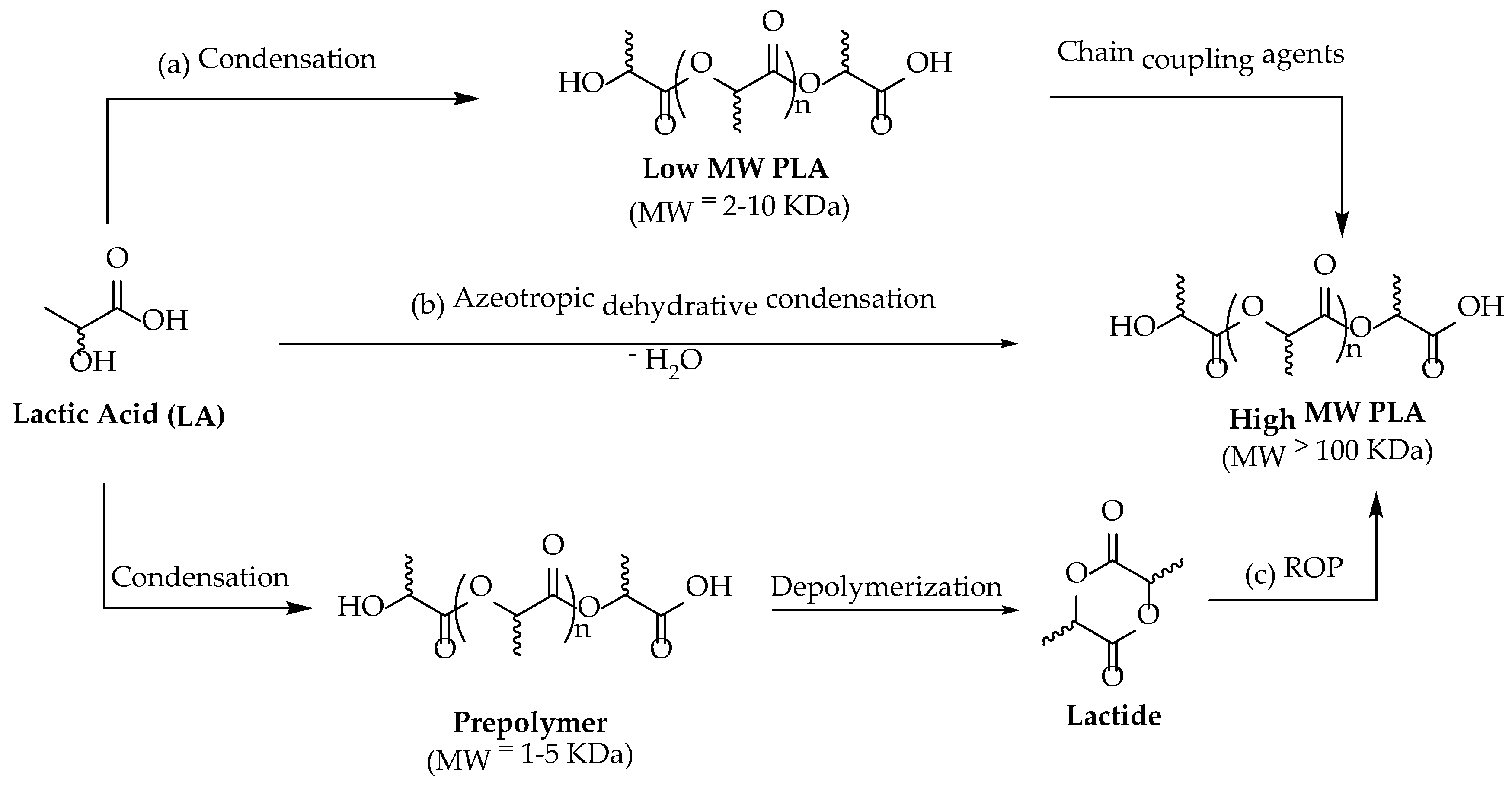 Antioxidants 11 02074 sch001