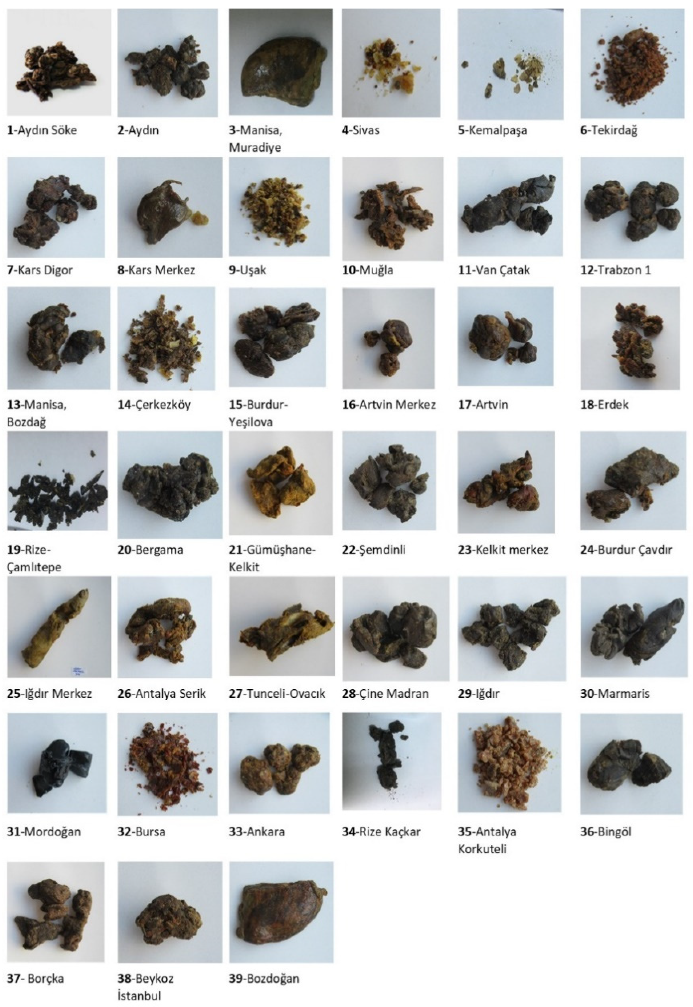 Antioxidants 11 02075 g002 Antioxidants 11 02075 g002