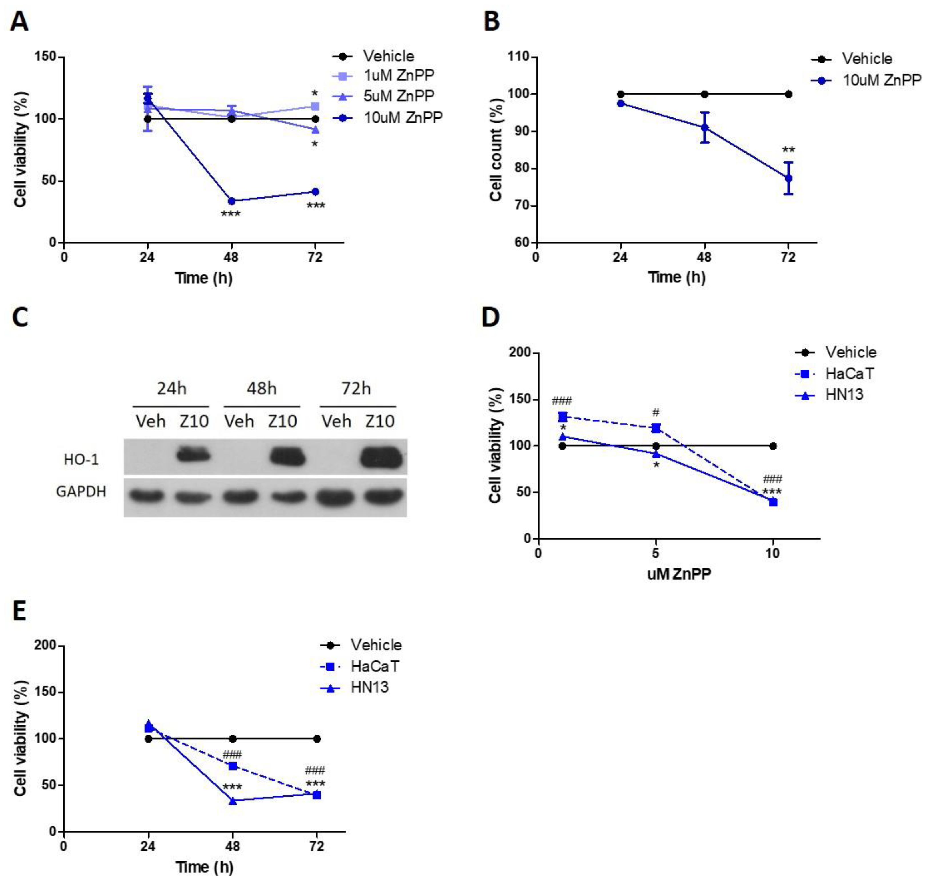 Antioxidants 11 02077 g003