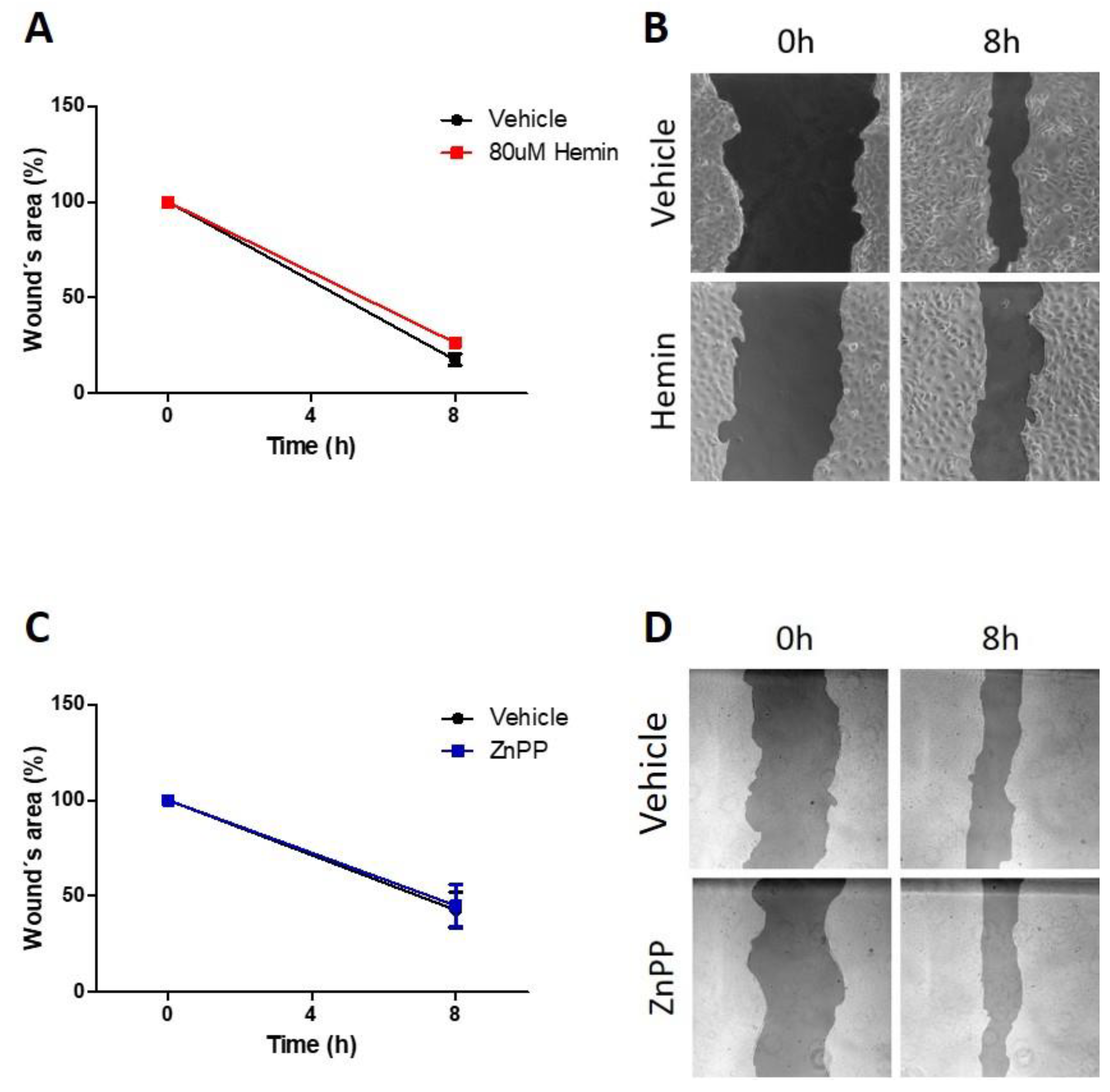 Antioxidants 11 02077 g004