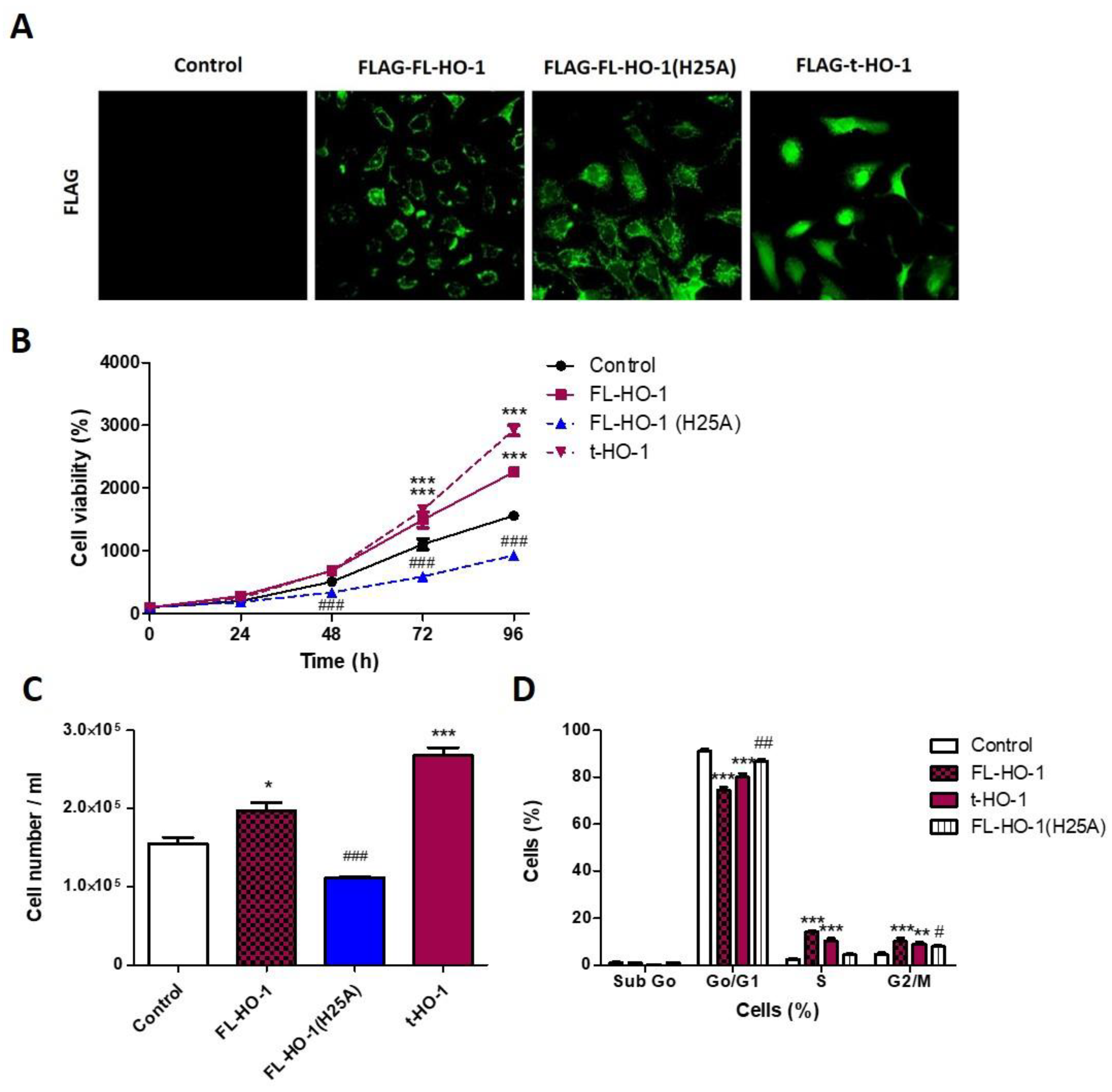 Antioxidants 11 02077 g006