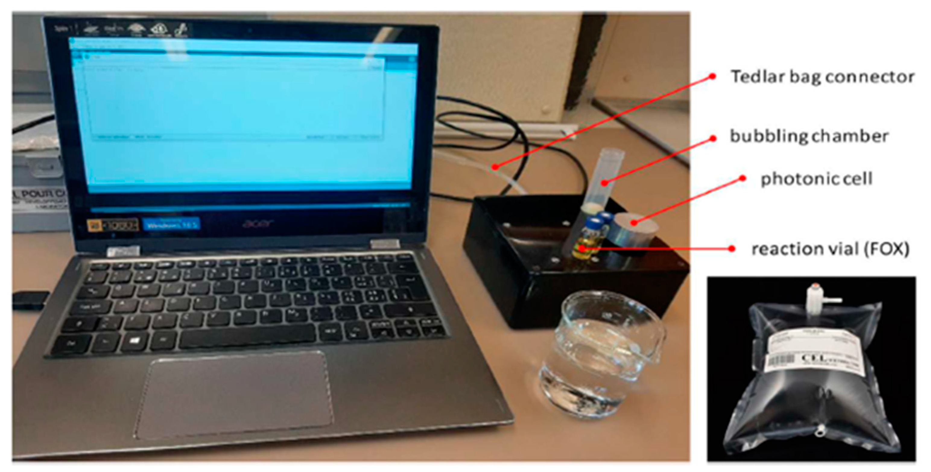 Antioxidants 11 02079 g001