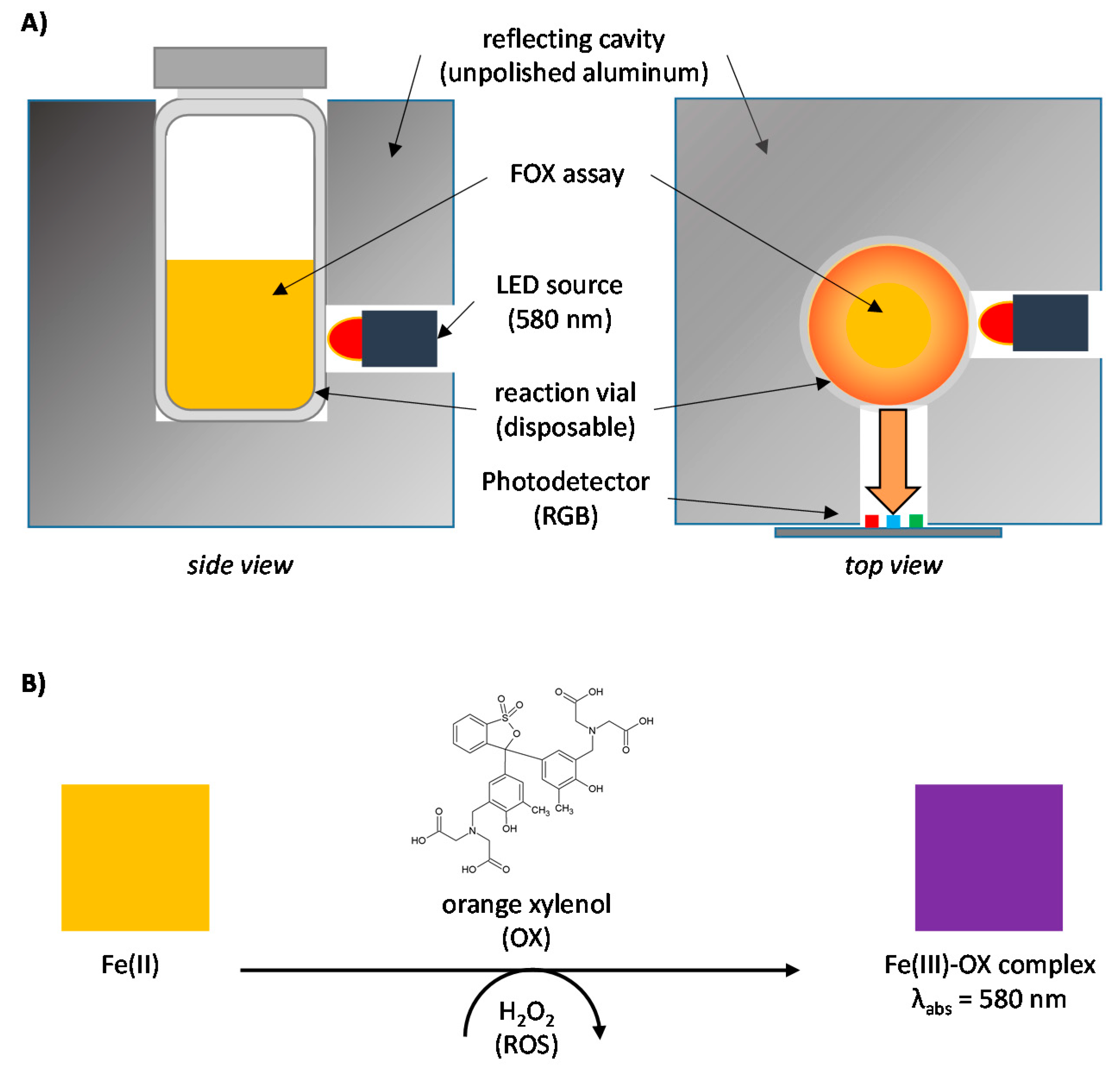 Antioxidants 11 02079 g002