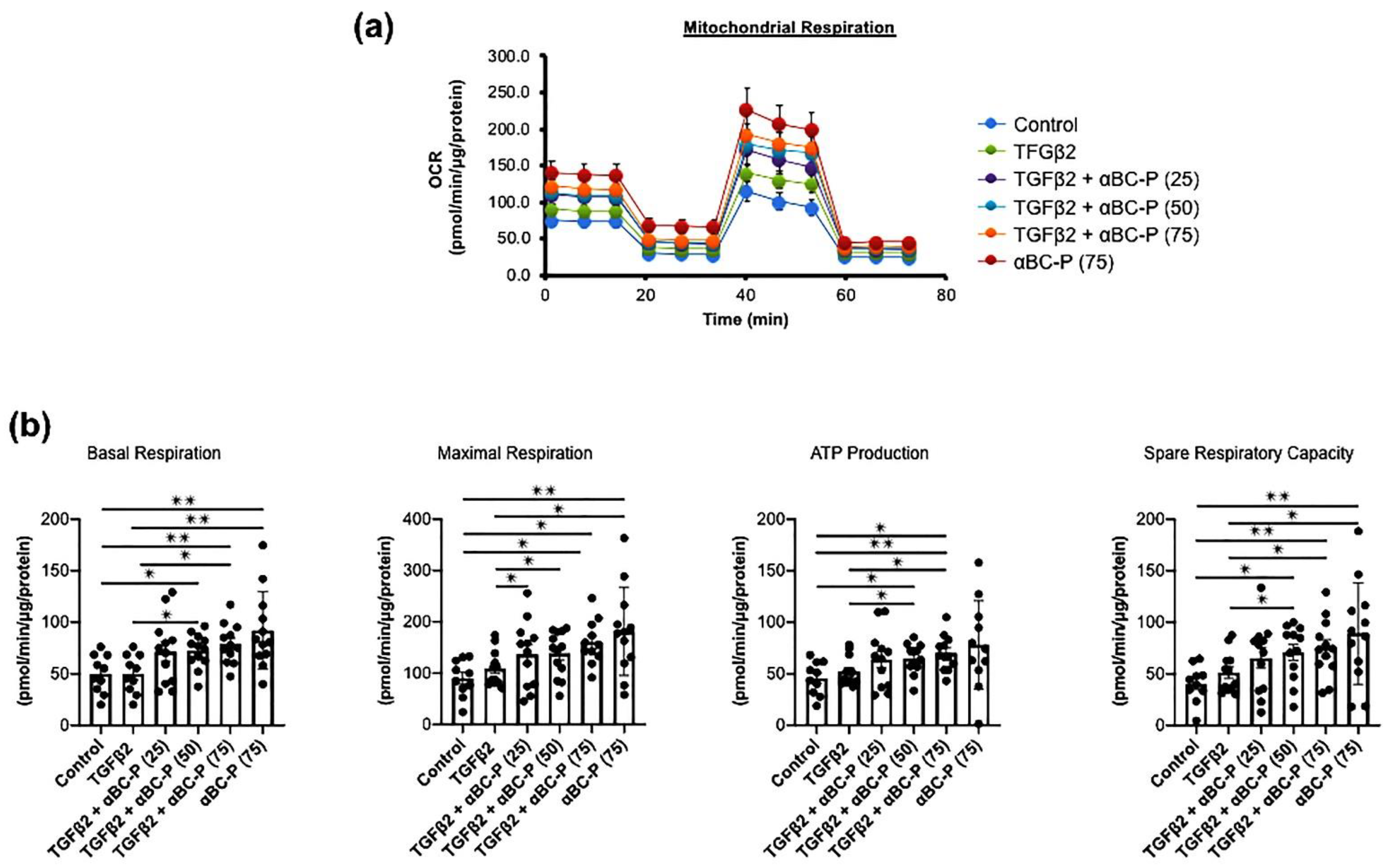 Antioxidants 11 02080 g005