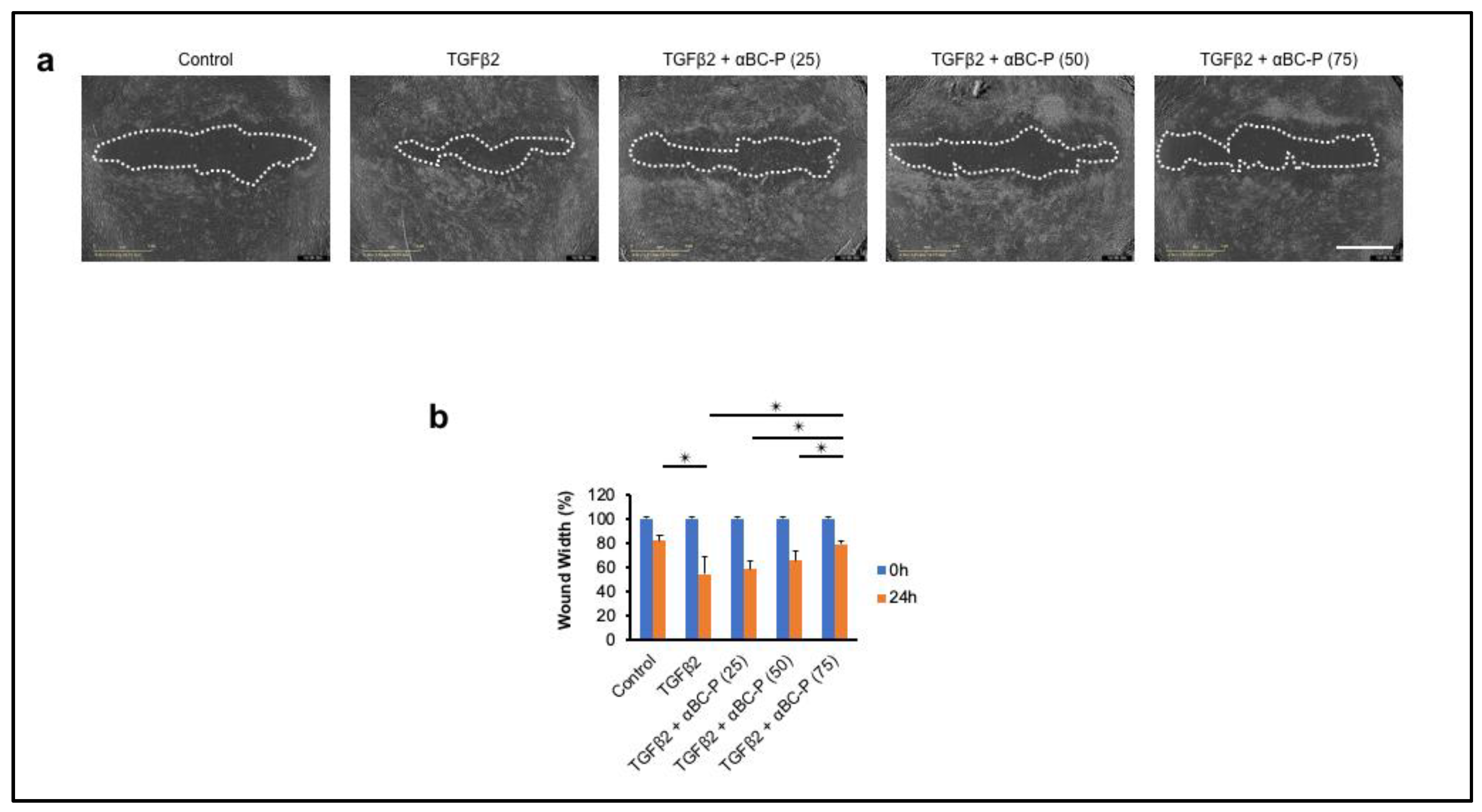 Antioxidants 11 02080 g007
