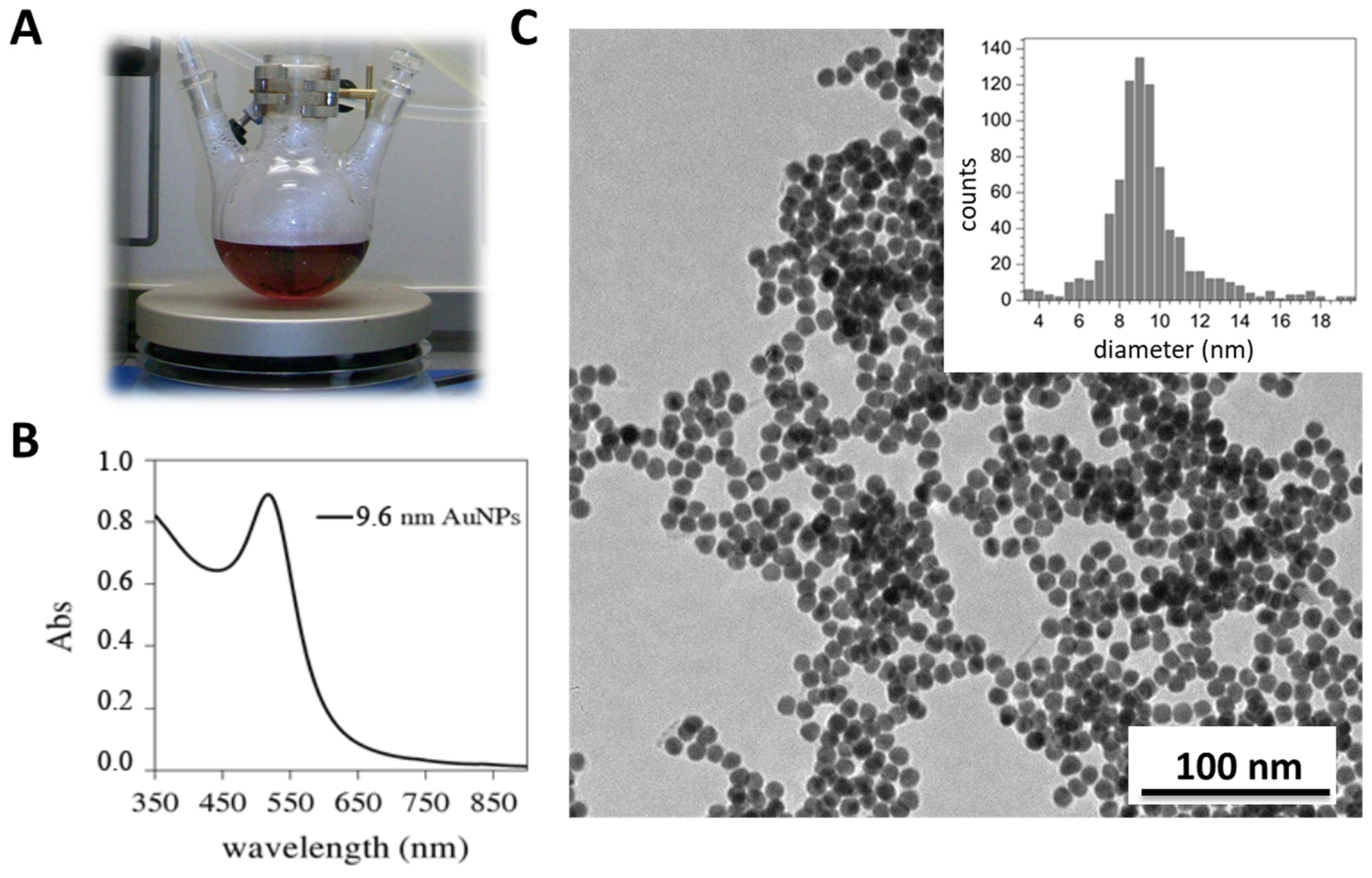 Antioxidants 11 02082 g002 Antioxidants 11 02082 g002