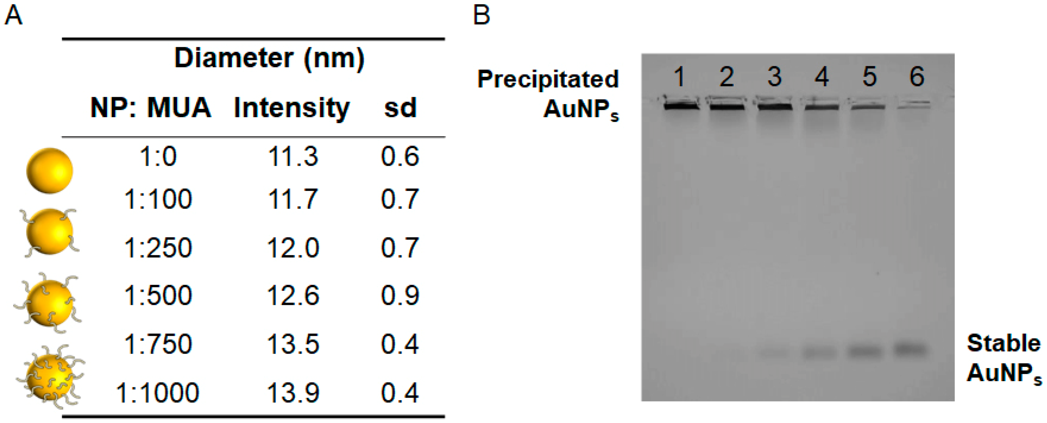 Antioxidants 11 02082 g003 Antioxidants 11 02082 g003