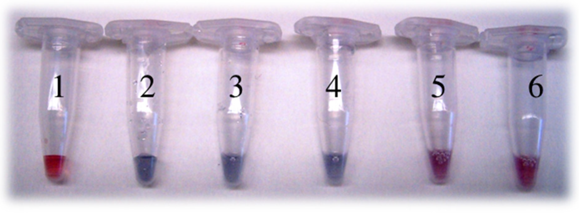 Antioxidants 11 02082 g004 Antioxidants 11 02082 g004