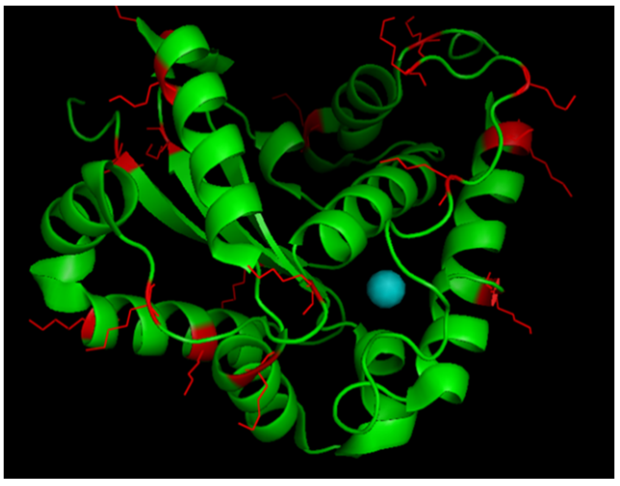 Antioxidants 11 02082 g005 Antioxidants 11 02082 g005