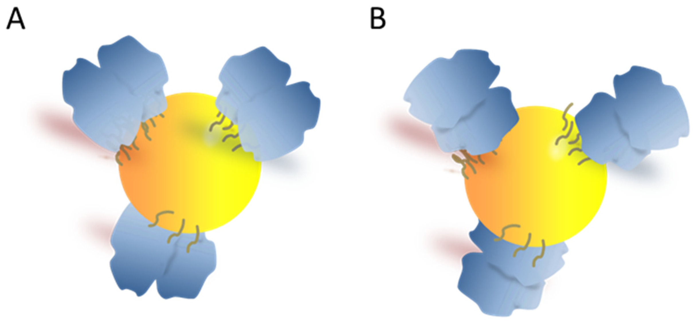 Antioxidants 11 02082 g007 Antioxidants 11 02082 g007