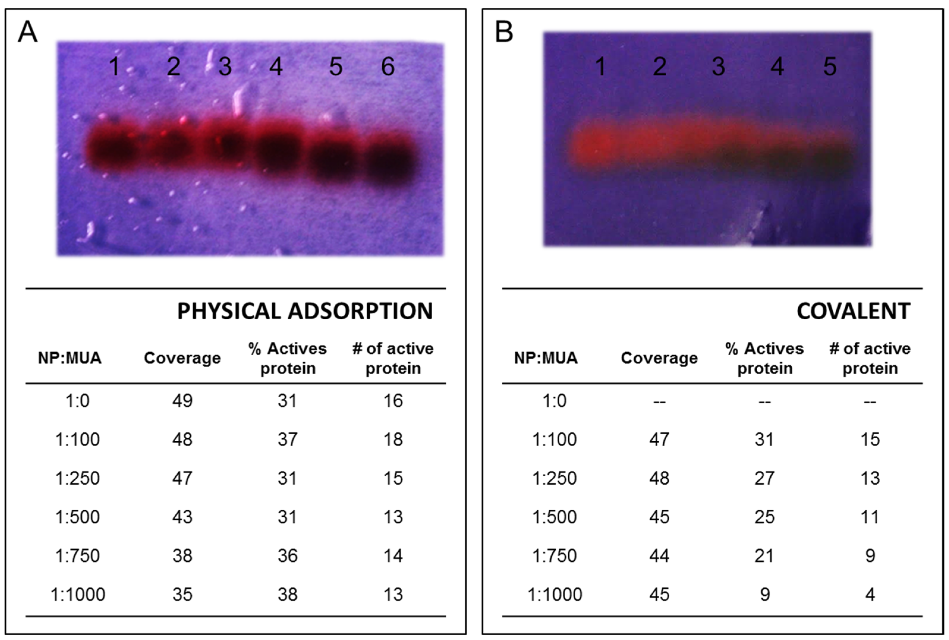 Antioxidants 11 02082 g008 Antioxidants 11 02082 g008