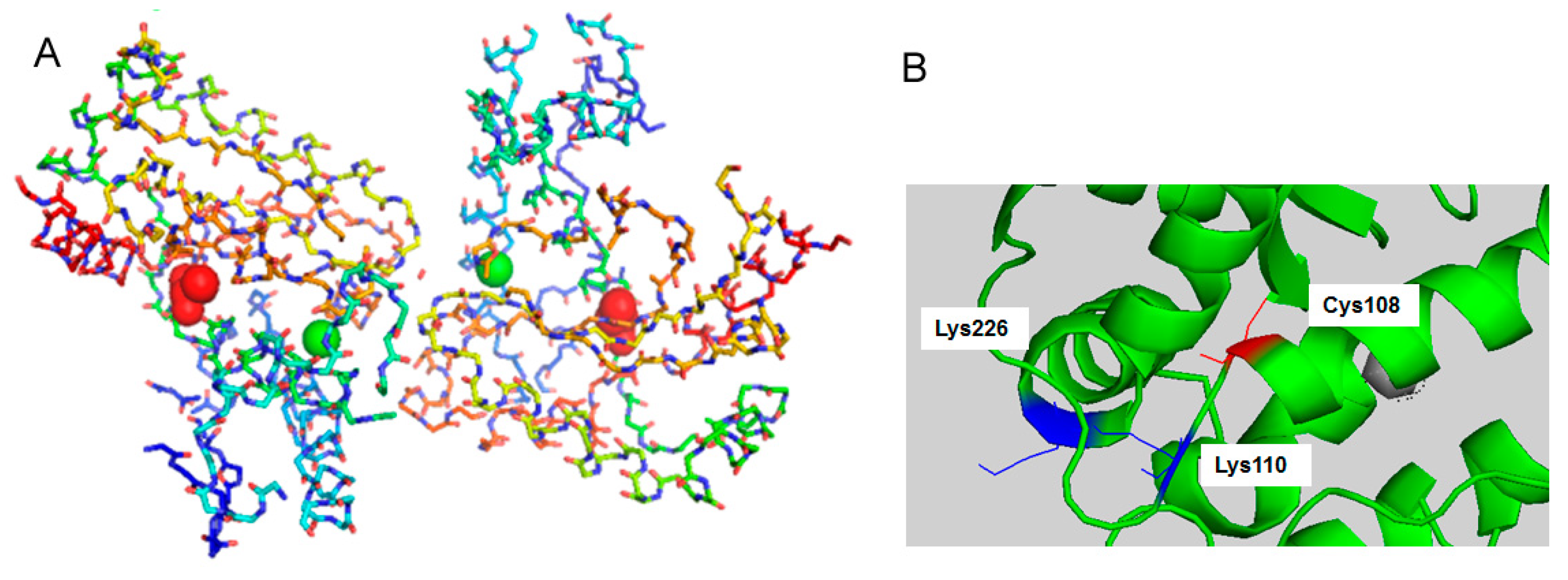 Antioxidants 11 02082 g009 Antioxidants 11 02082 g009