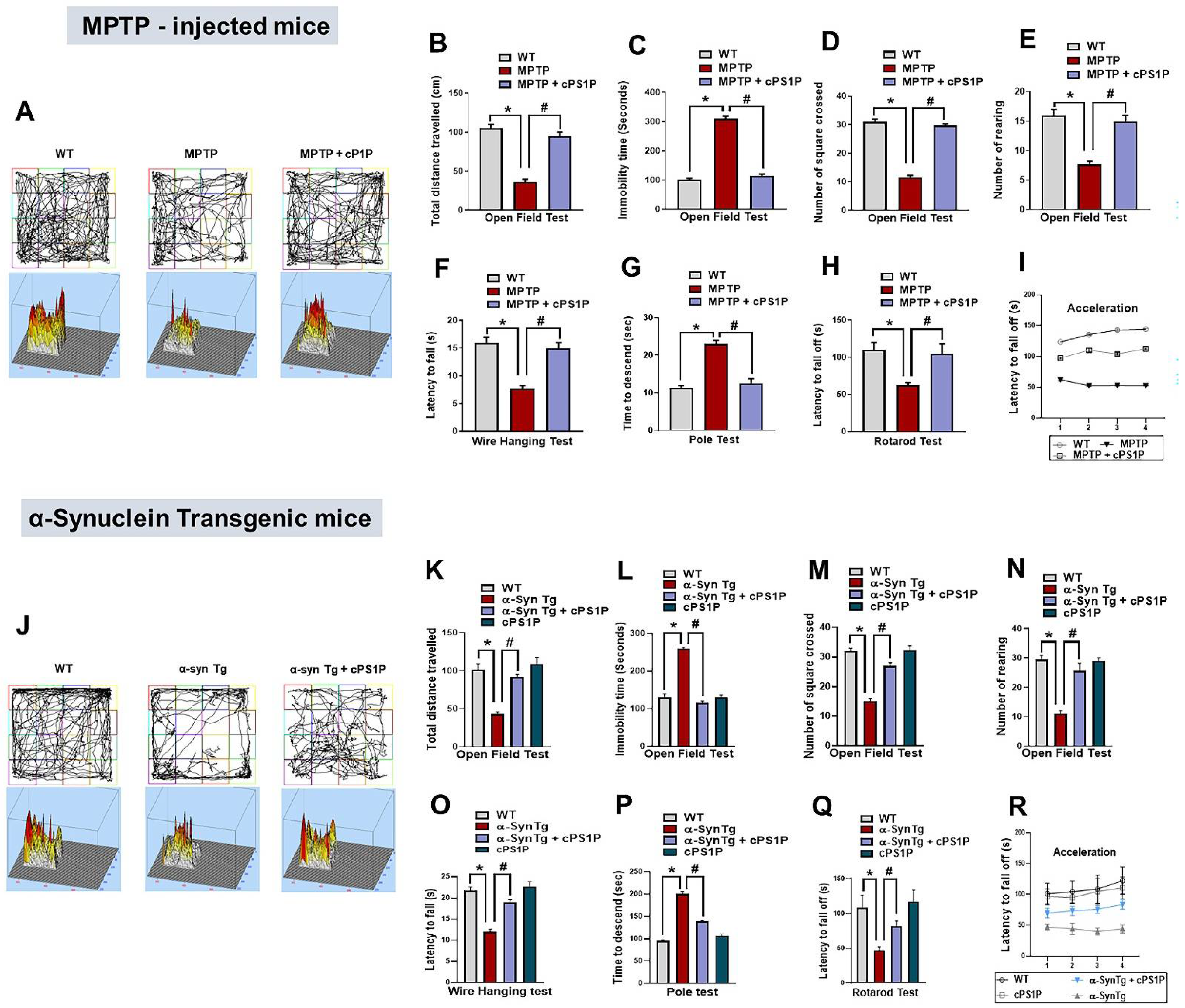 Antioxidants 11 02107 g002 Antioxidants 11 02107 g002