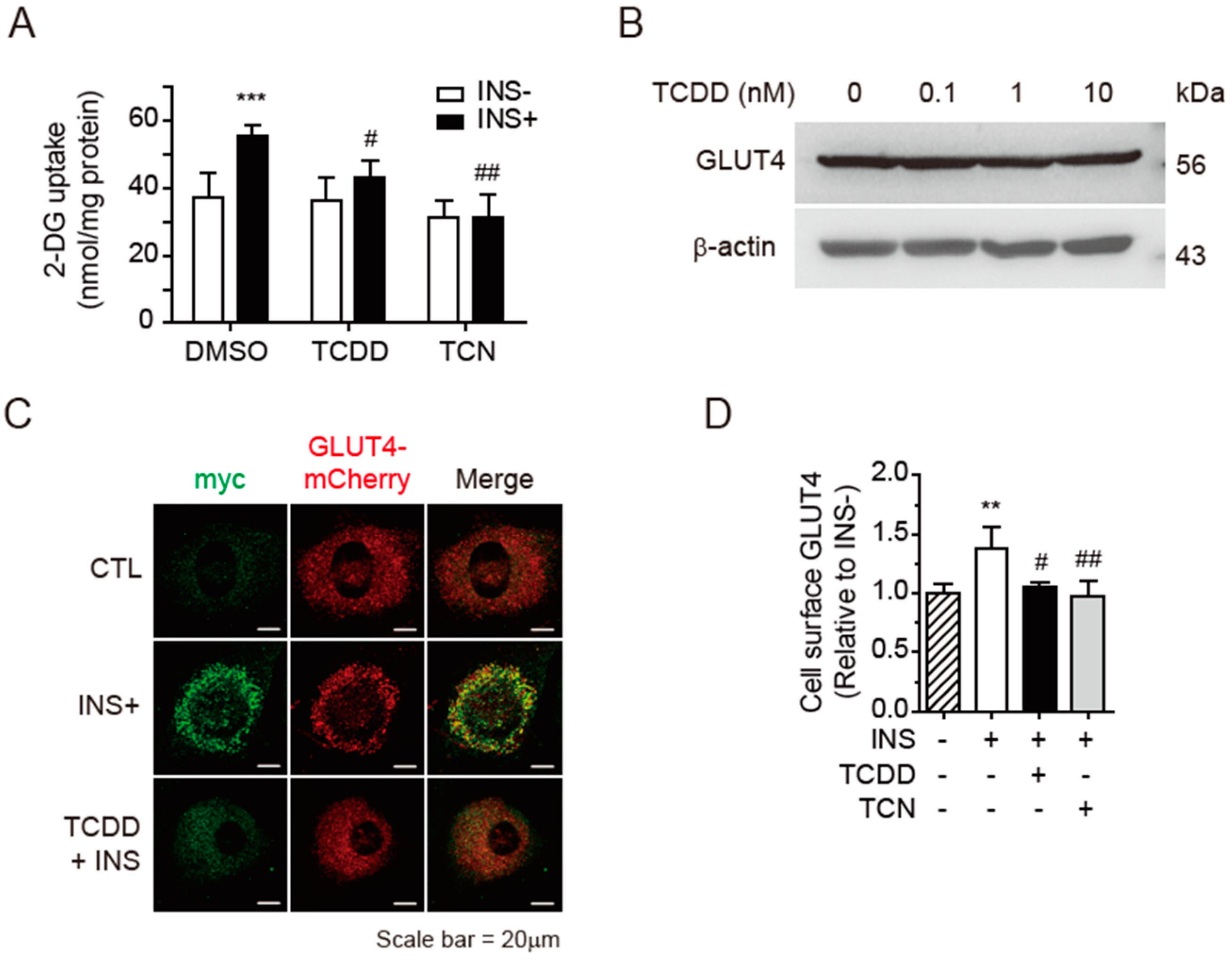 Antioxidants 11 02109 g001