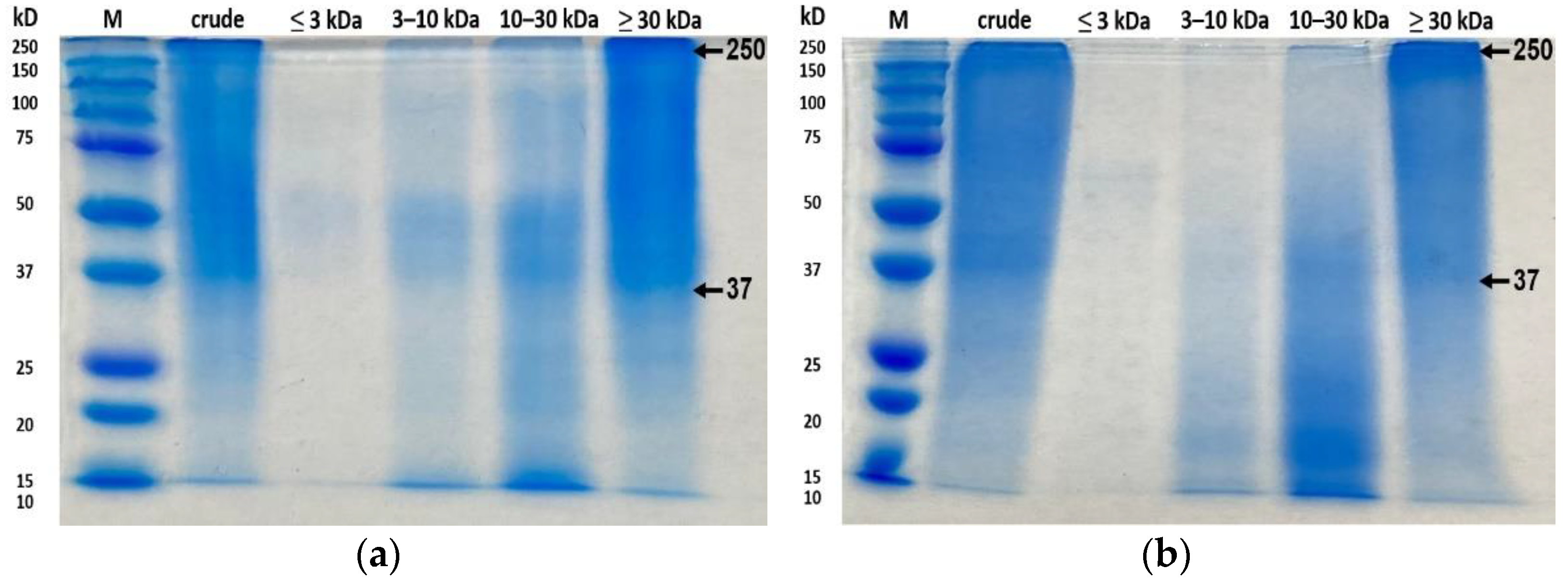 Antioxidants 11 02112 g005a