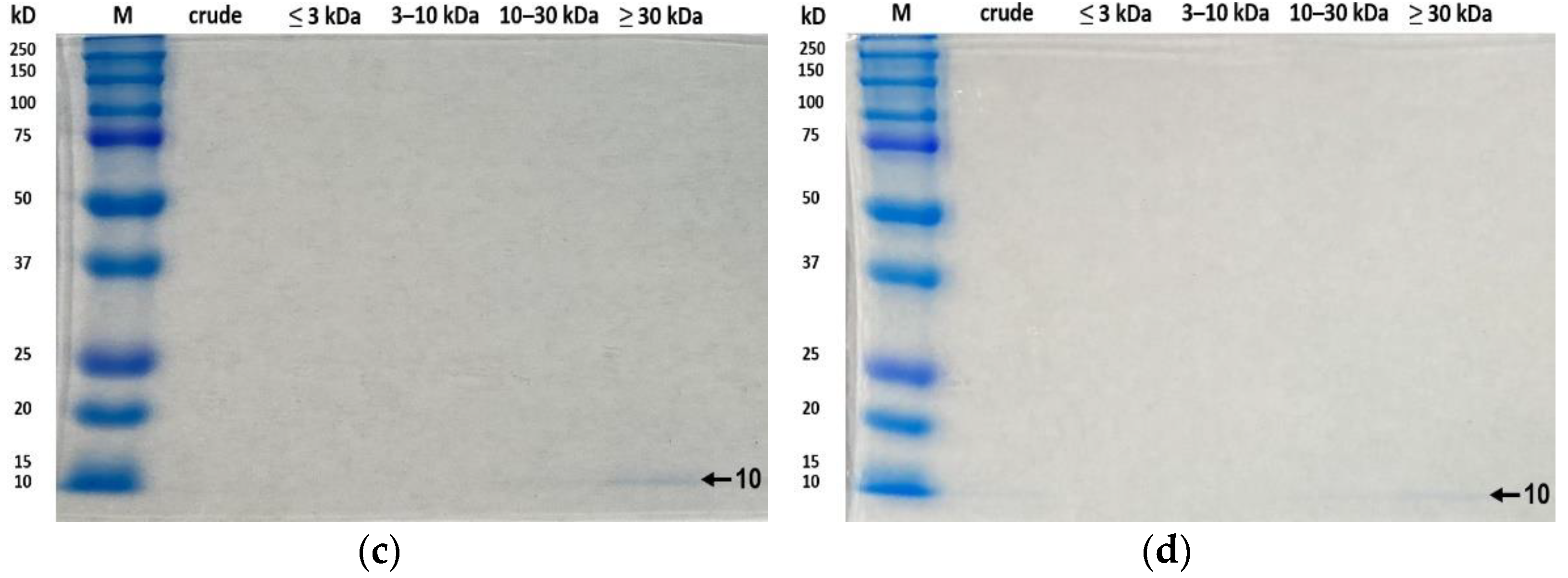 Antioxidants 11 02112 g005b