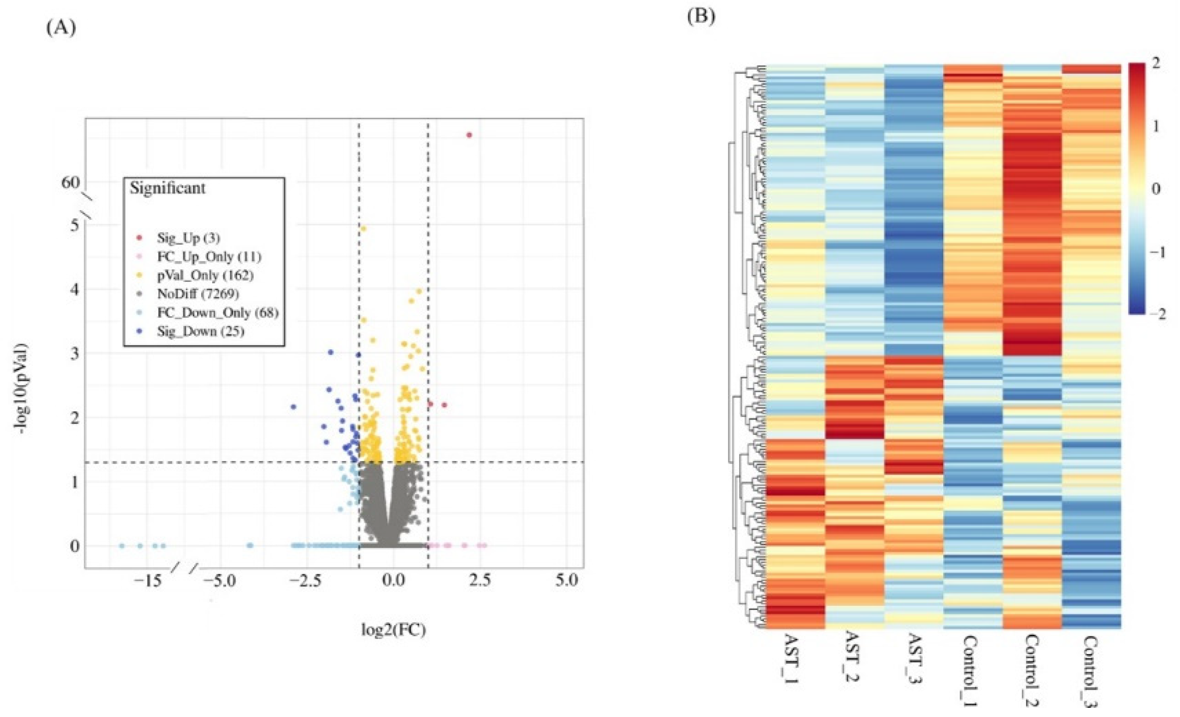 Antioxidants 11 02115 g002