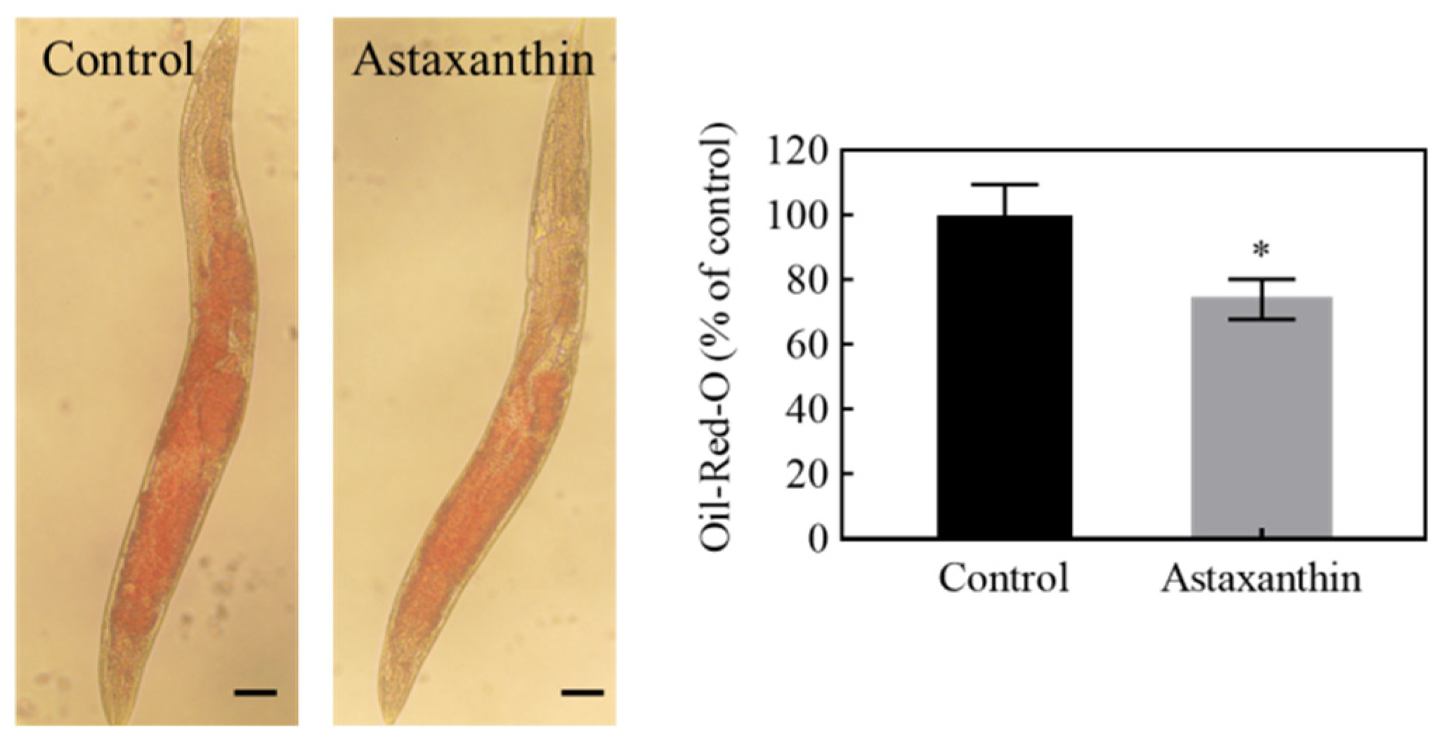 Antioxidants 11 02115 g006