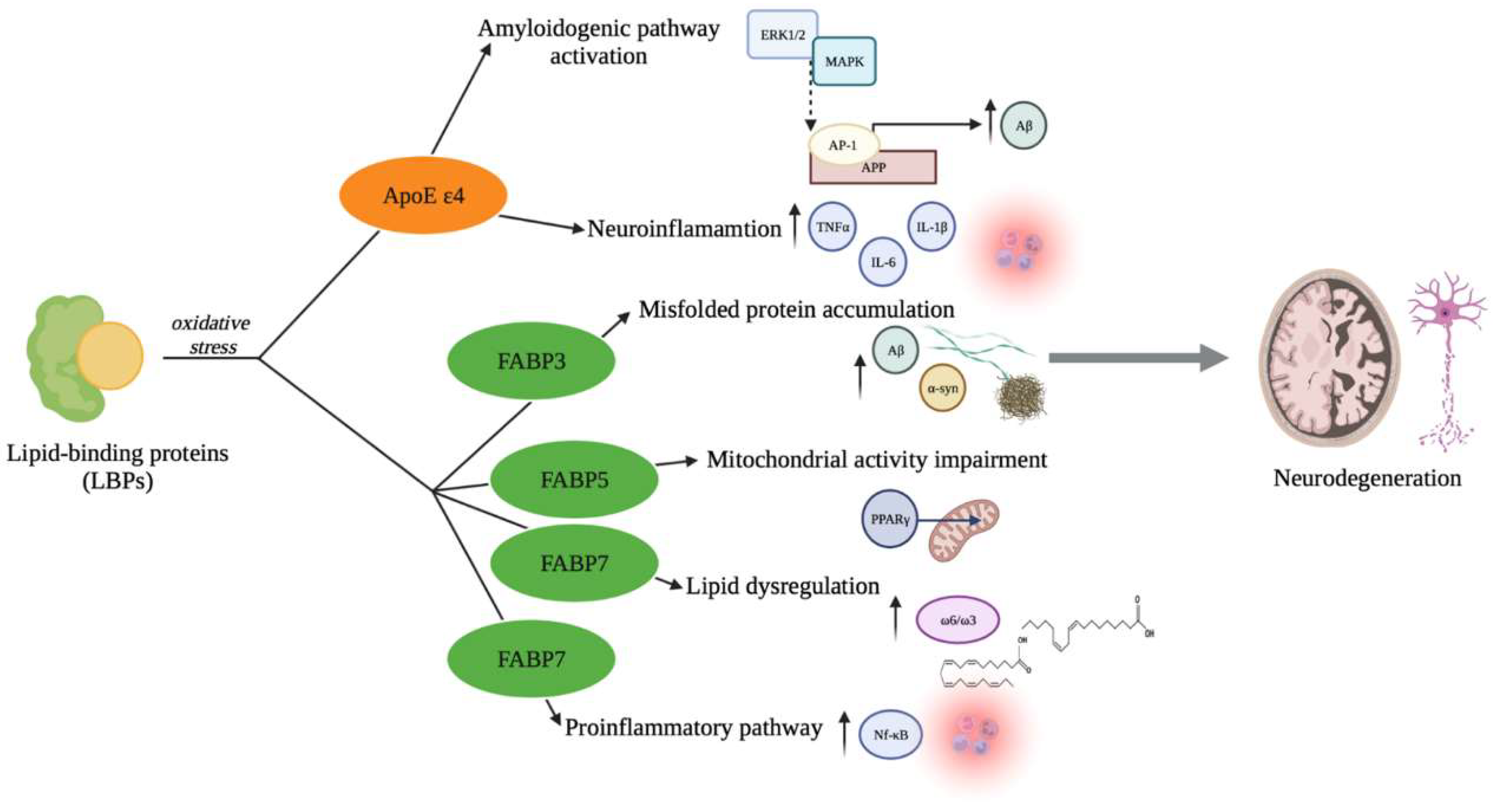 Antioxidants 11 02116 g001 Antioxidants 11 02116 g001