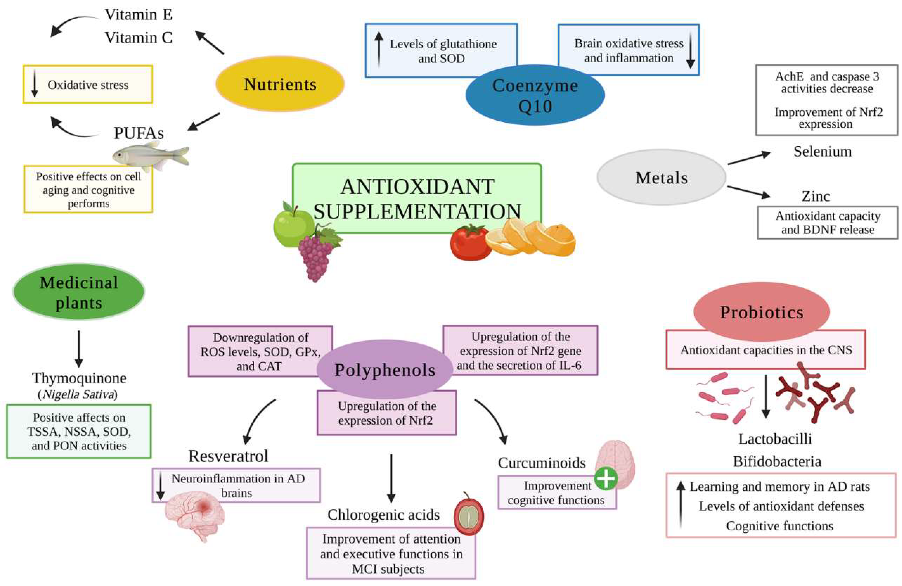 Antioxidants 11 02116 g002 Antioxidants 11 02116 g002