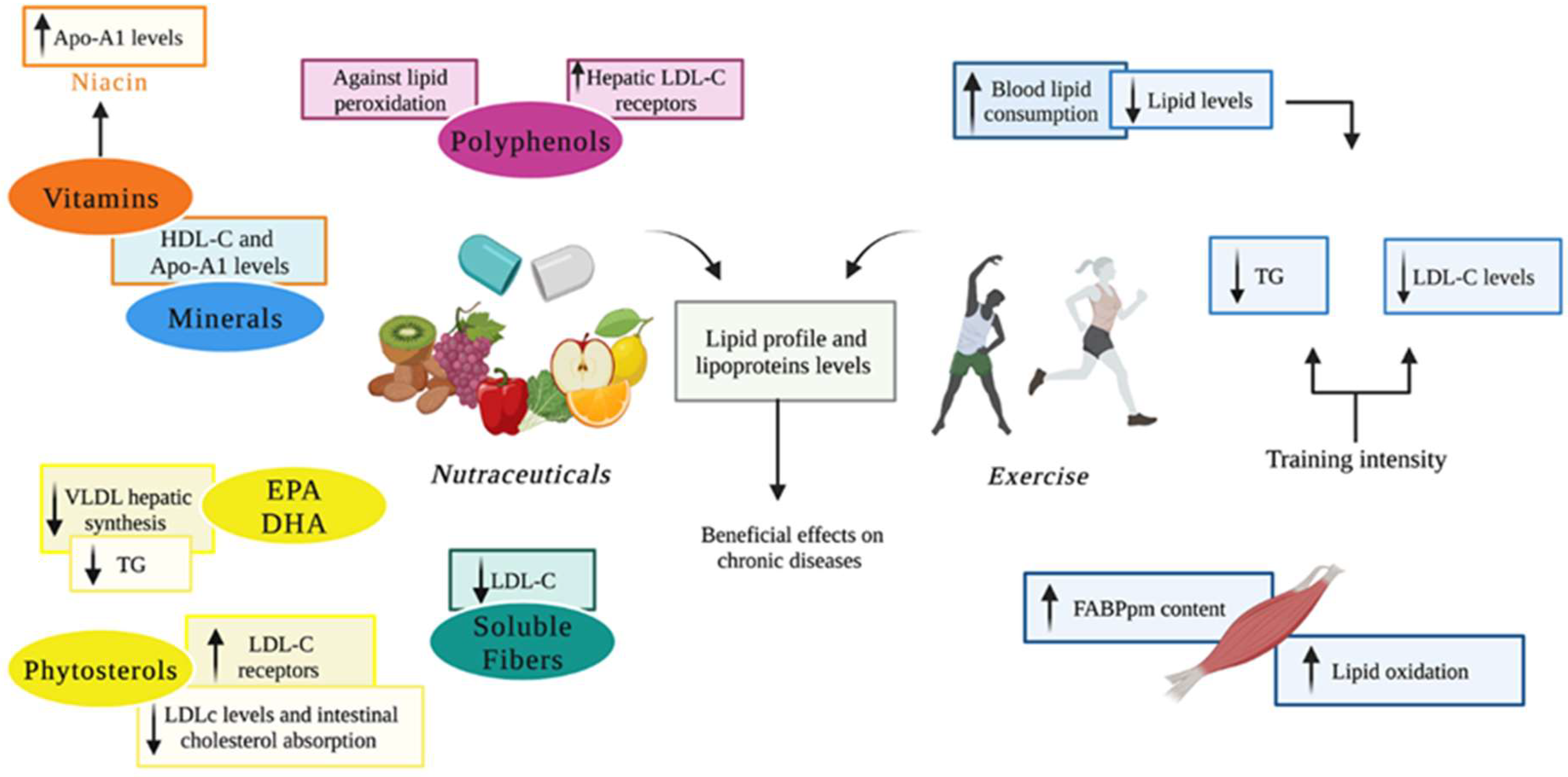 Antioxidants 11 02116 g004 Antioxidants 11 02116 g004