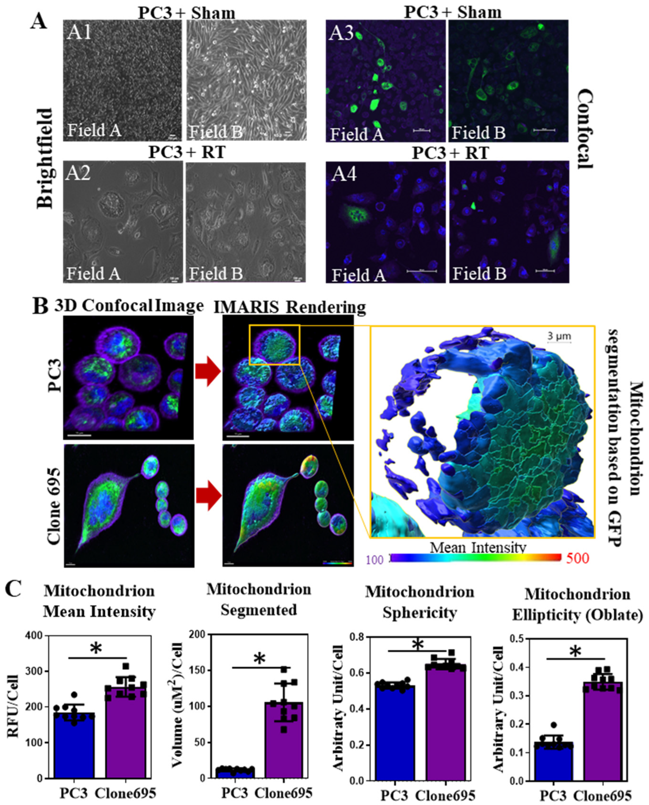 Antioxidants 11 02119 g002